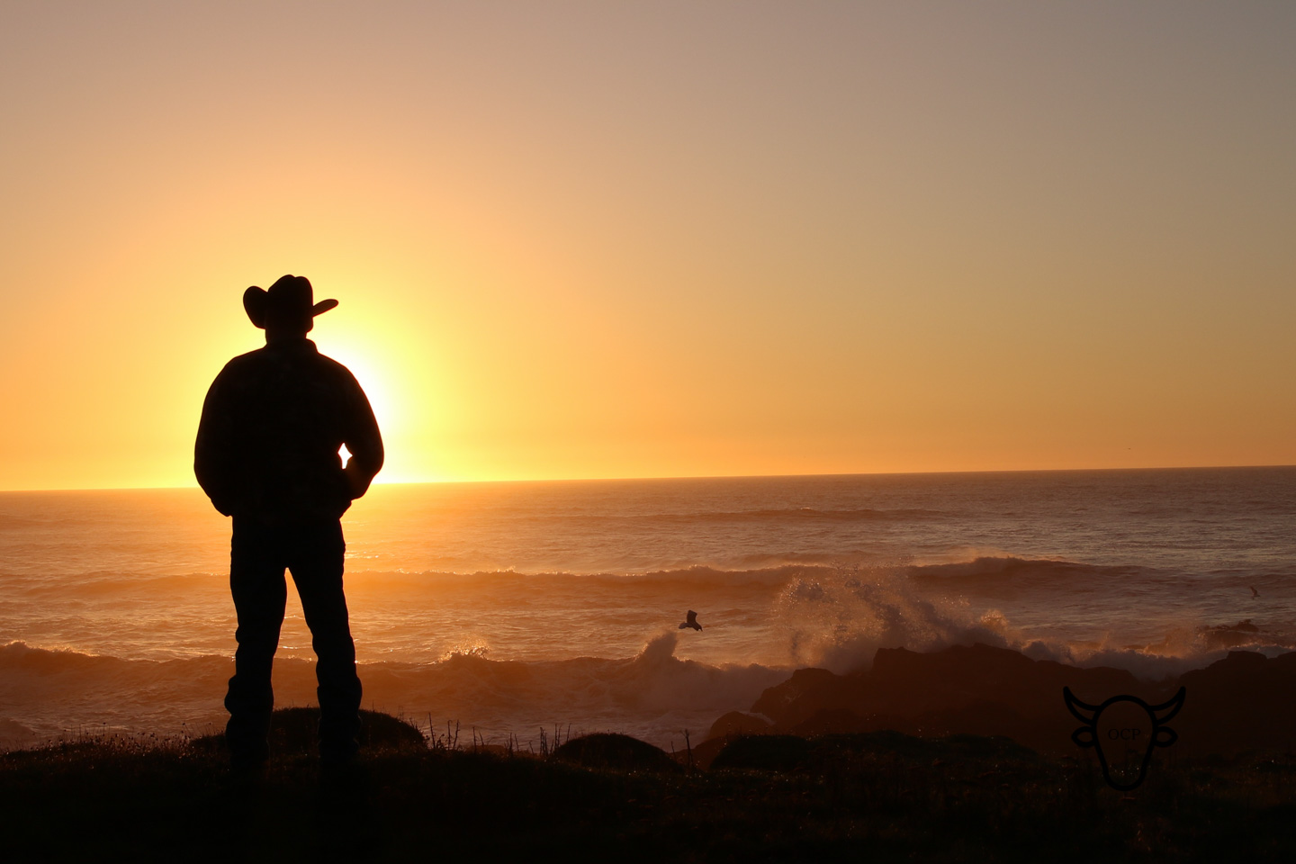 cowboy sunset 3 10262017.jpg