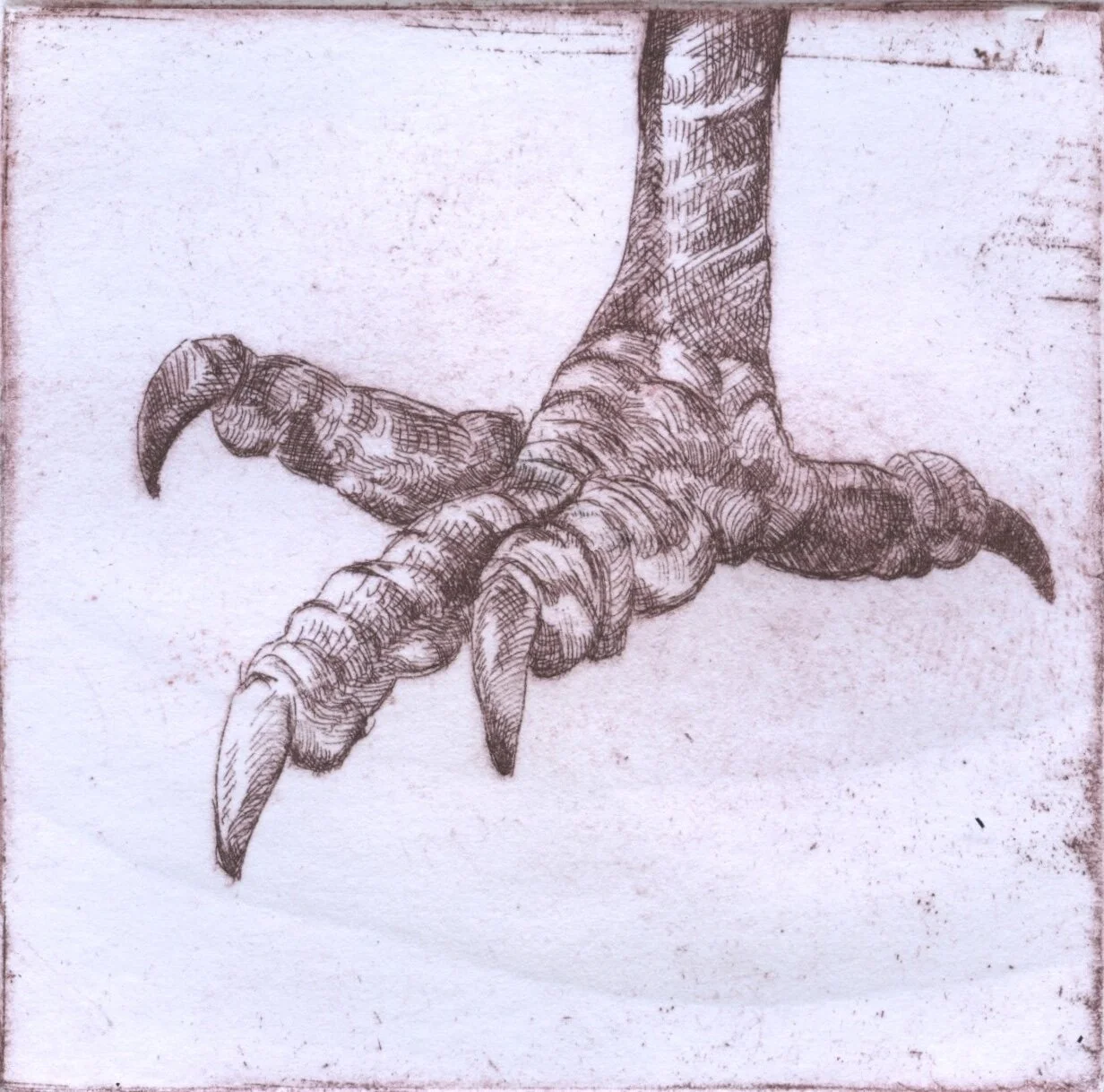 Untitled-Artwork_1(2).JPG