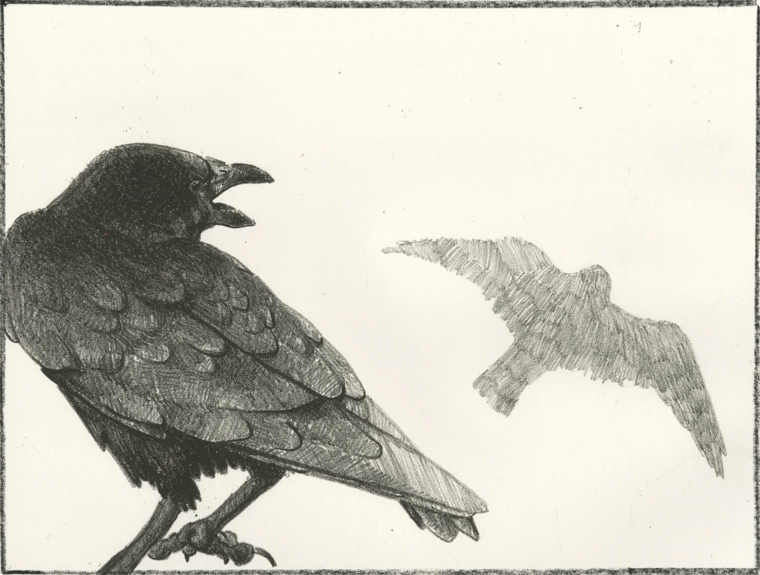 Untitled-Artwork_5.JPG