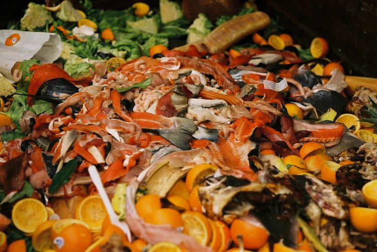 Dirty Money: Monetizing Food Waste
