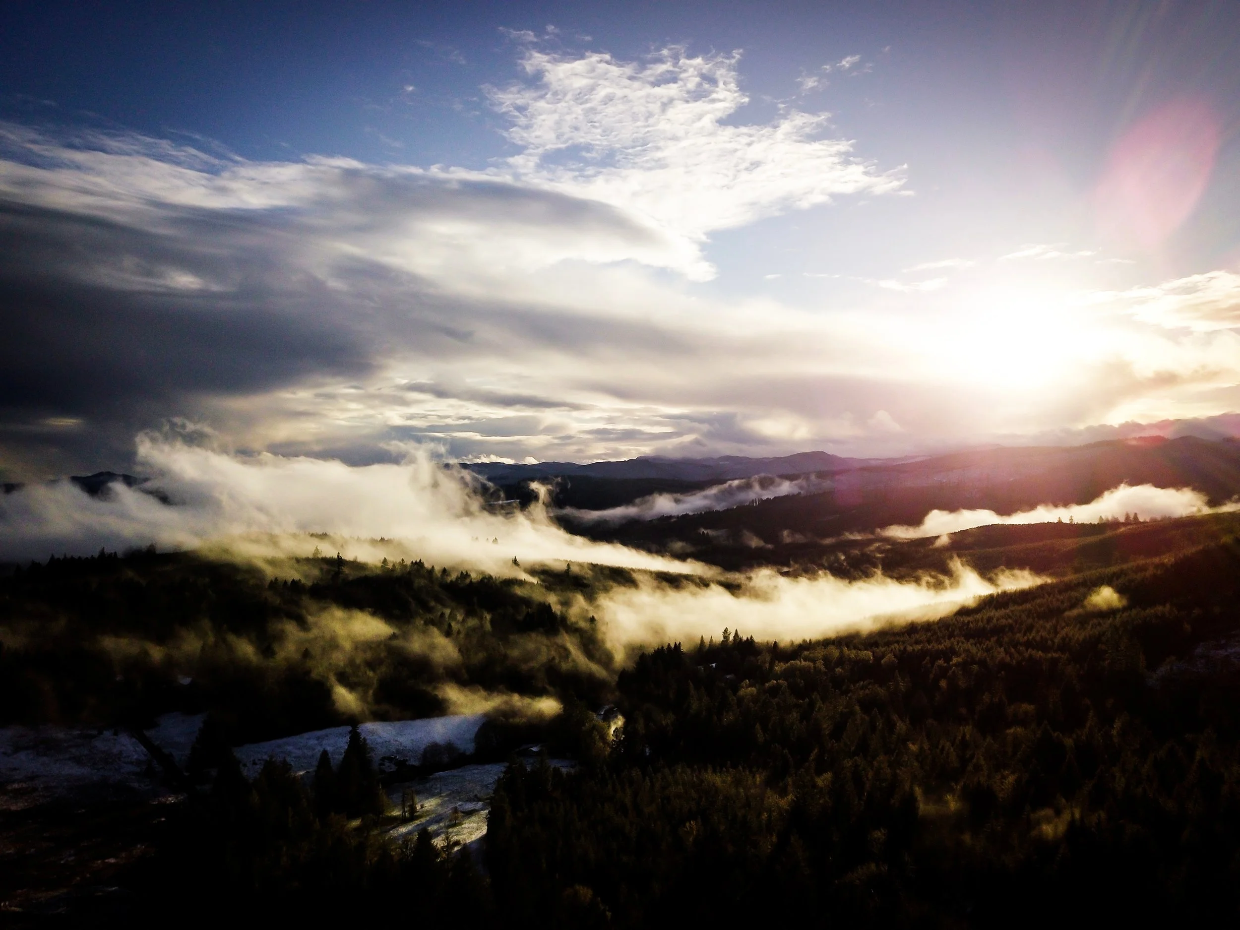 Photo by Clint McKoy on Unsplash