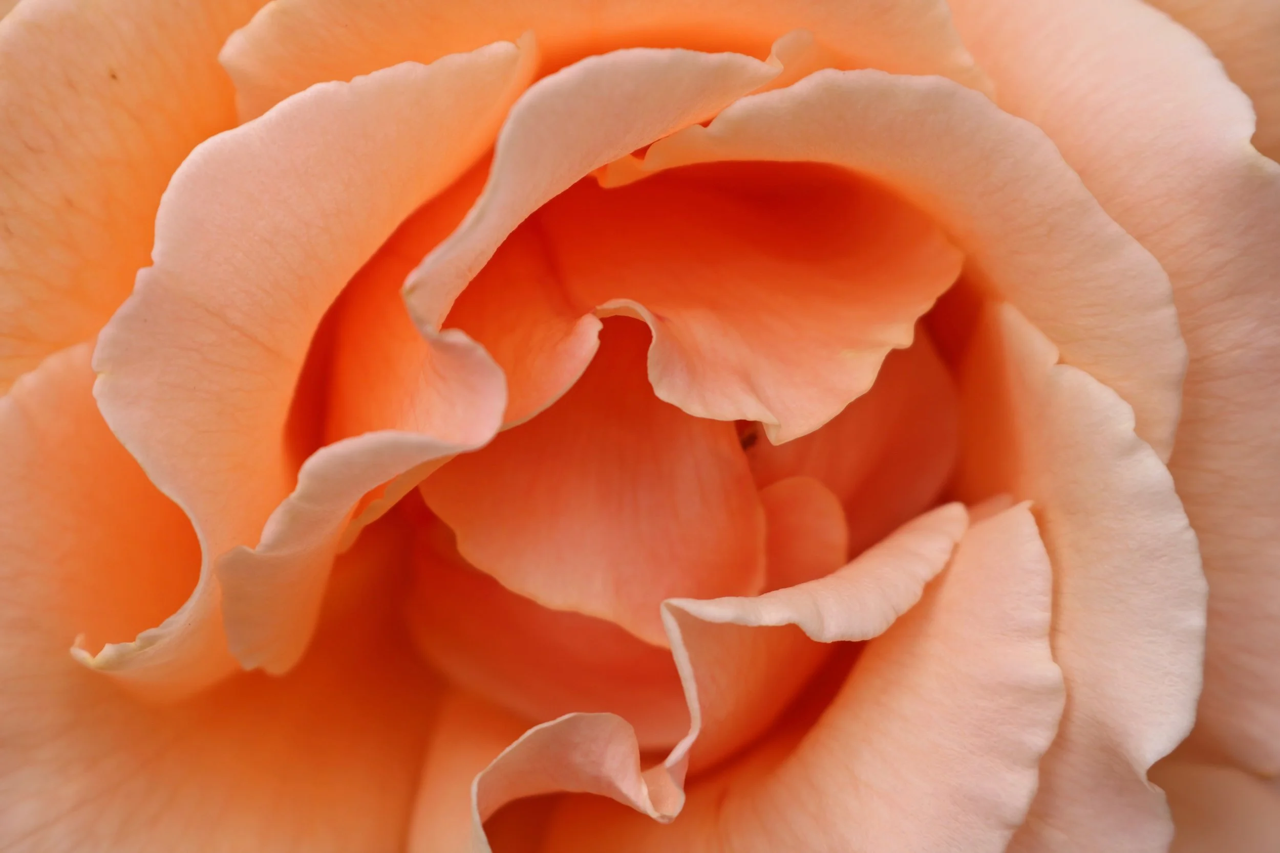 Photo by James & Carol Lee on Unsplash