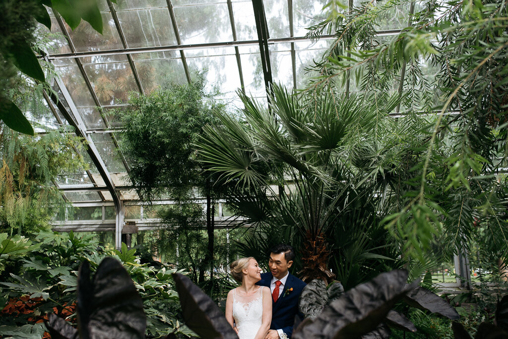 60_warren_jo_allan_gardens_greenhouse_wedding_toronto_CY19613.jpg