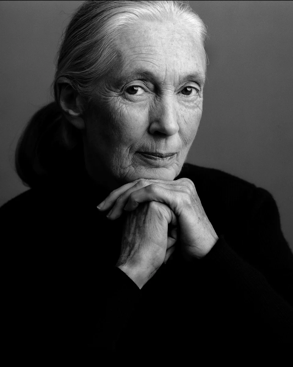 Jane Goodall "Only if we understand, will we care. Only if we care, will we help. Only if we help shall all be saved."