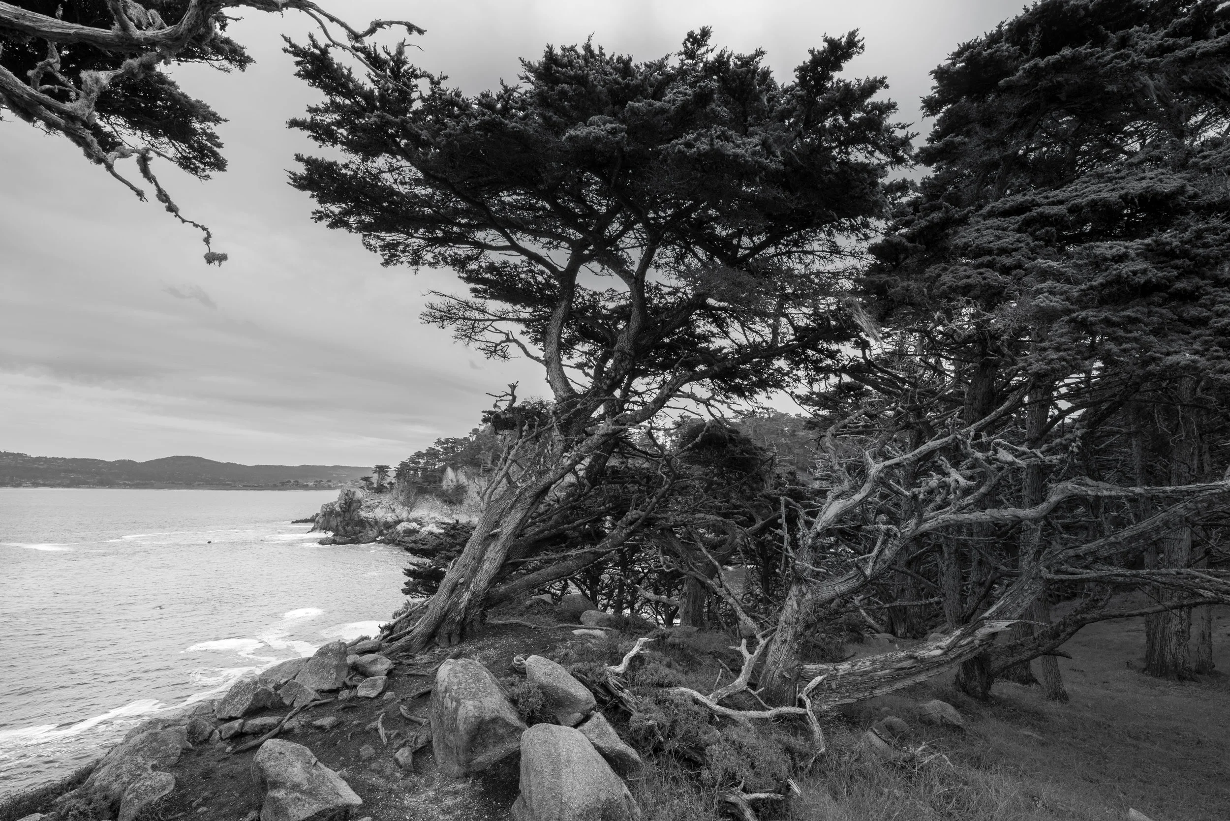 _DSC1130-Edit.jpg