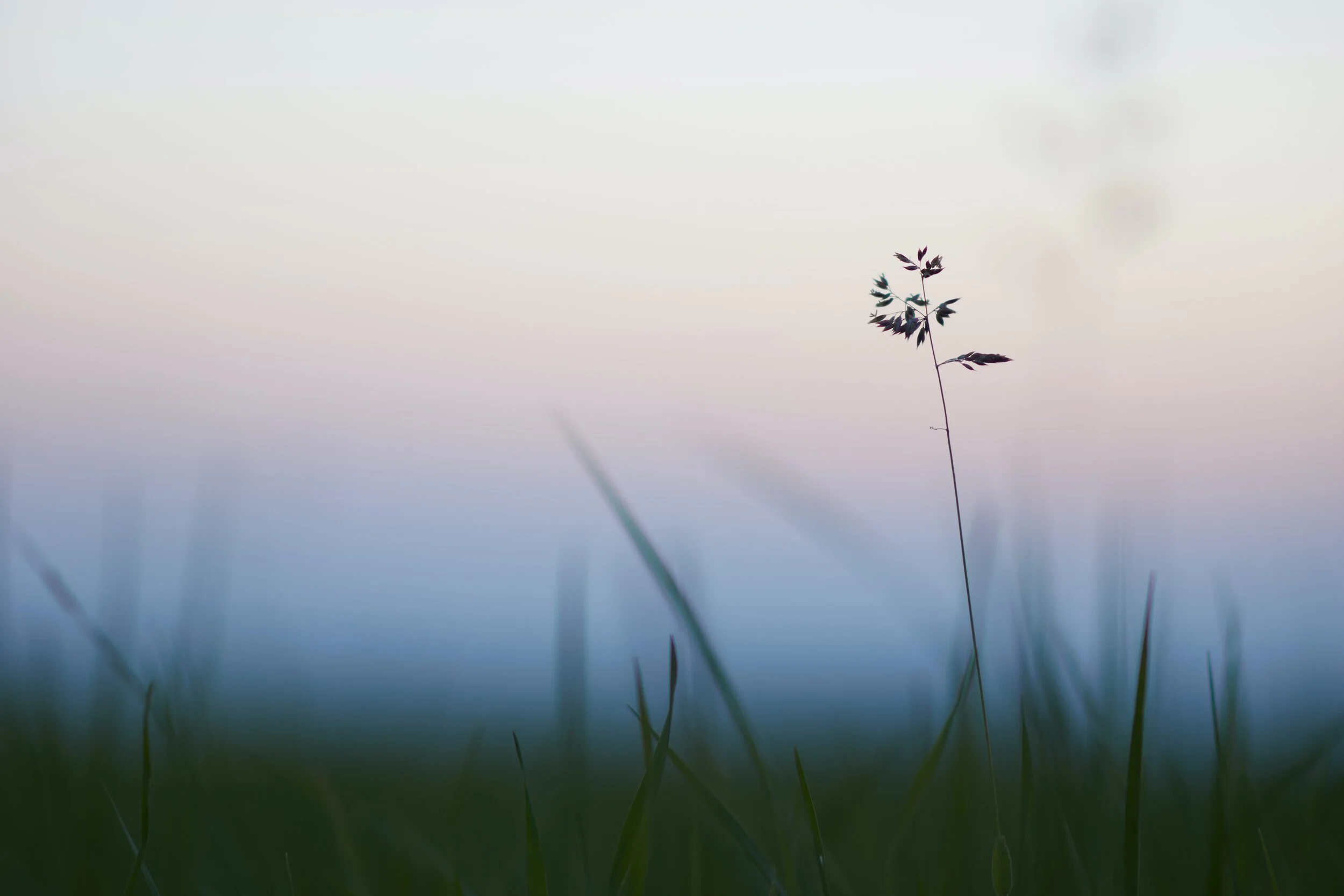 Webinar: Loneliness with David Perrin