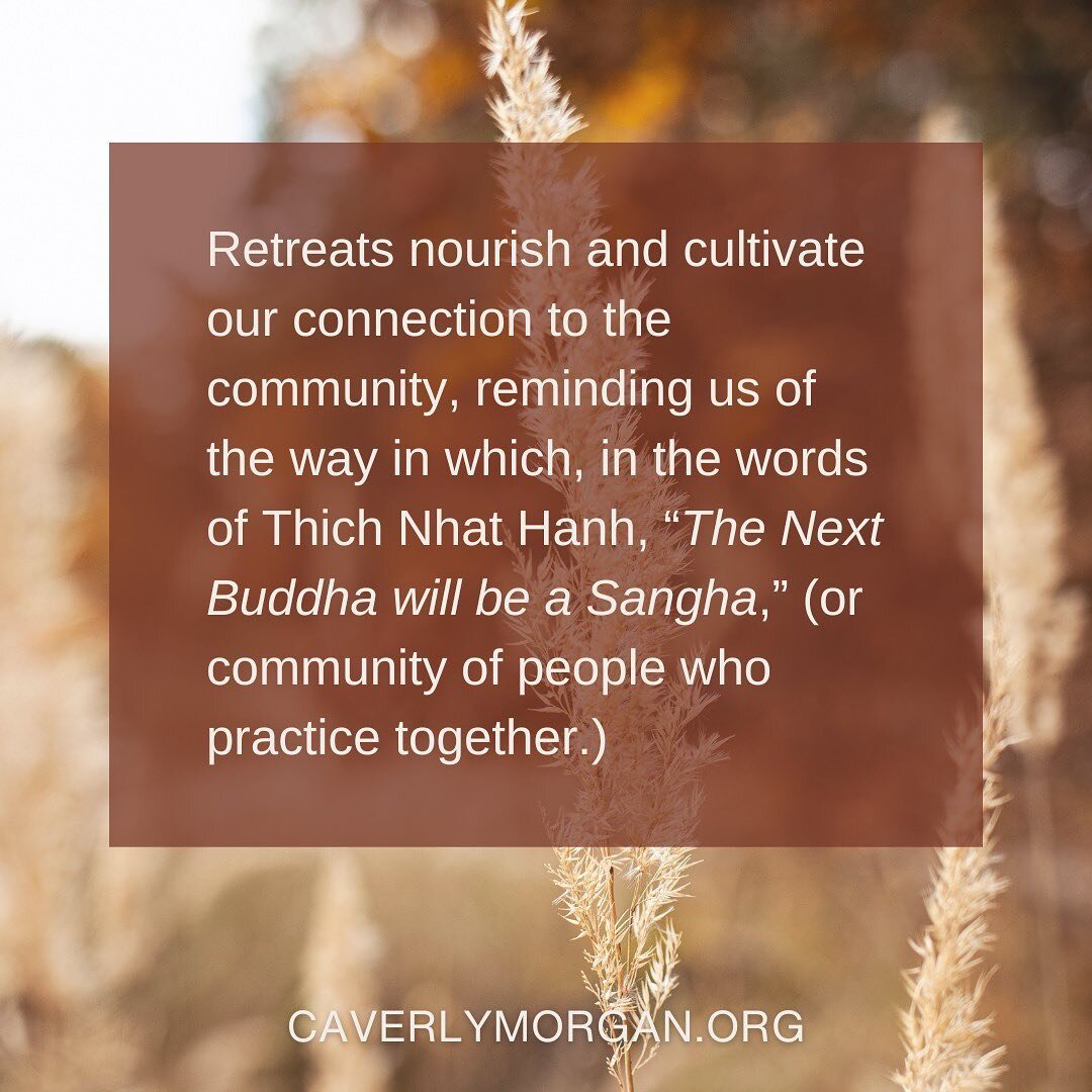 Retreats are a wonderful way to go more deeply into the direct experience of the heart of who we are. They help us stabilize in this direct experience such that we become more adept at bringing our lives into our practices versus our practices into o