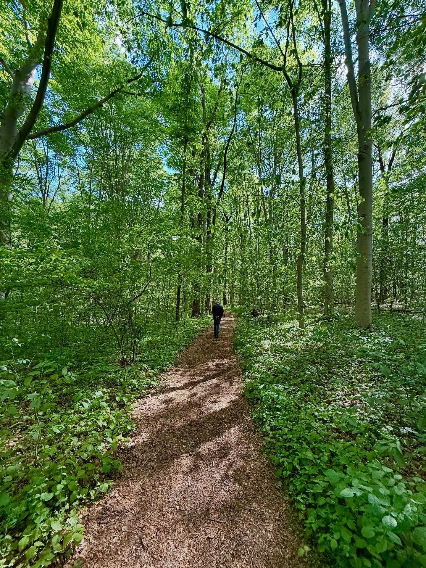 A part of me resists the notion of &ldquo;earth day.&rdquo; Always have. Can feel like tokenism. A reinforcement of the distorted notion that we are separate from the earth, picking one day to bring attention to it. 

But rather than grumble about th