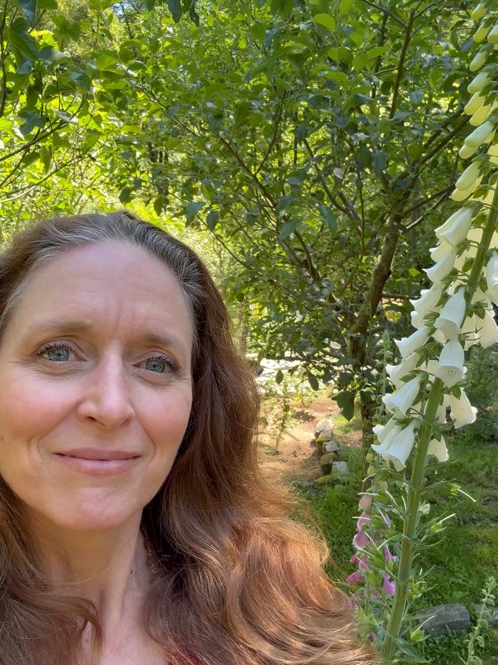 Sharing some recent
moments of beauty. 
An invitation
to take in beauty&mdash;
to see it
within whatever 
surrounds you. 

All videos taken yesterday on the lovely Whidbey Island. 

Be sure to have the sound on, esp for the Northern House Wren baby b