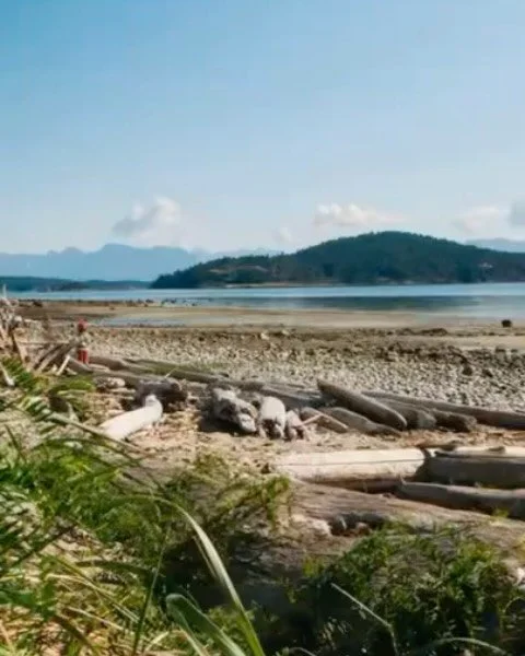Deborah Eden Tull and I invite you into a contemplative and restorative five-day journey together in British Columbia, where we explore how autumn and the natural world can be one of our greatest teachers.&nbsp;&nbsp;

We&rsquo;ll explore three theme