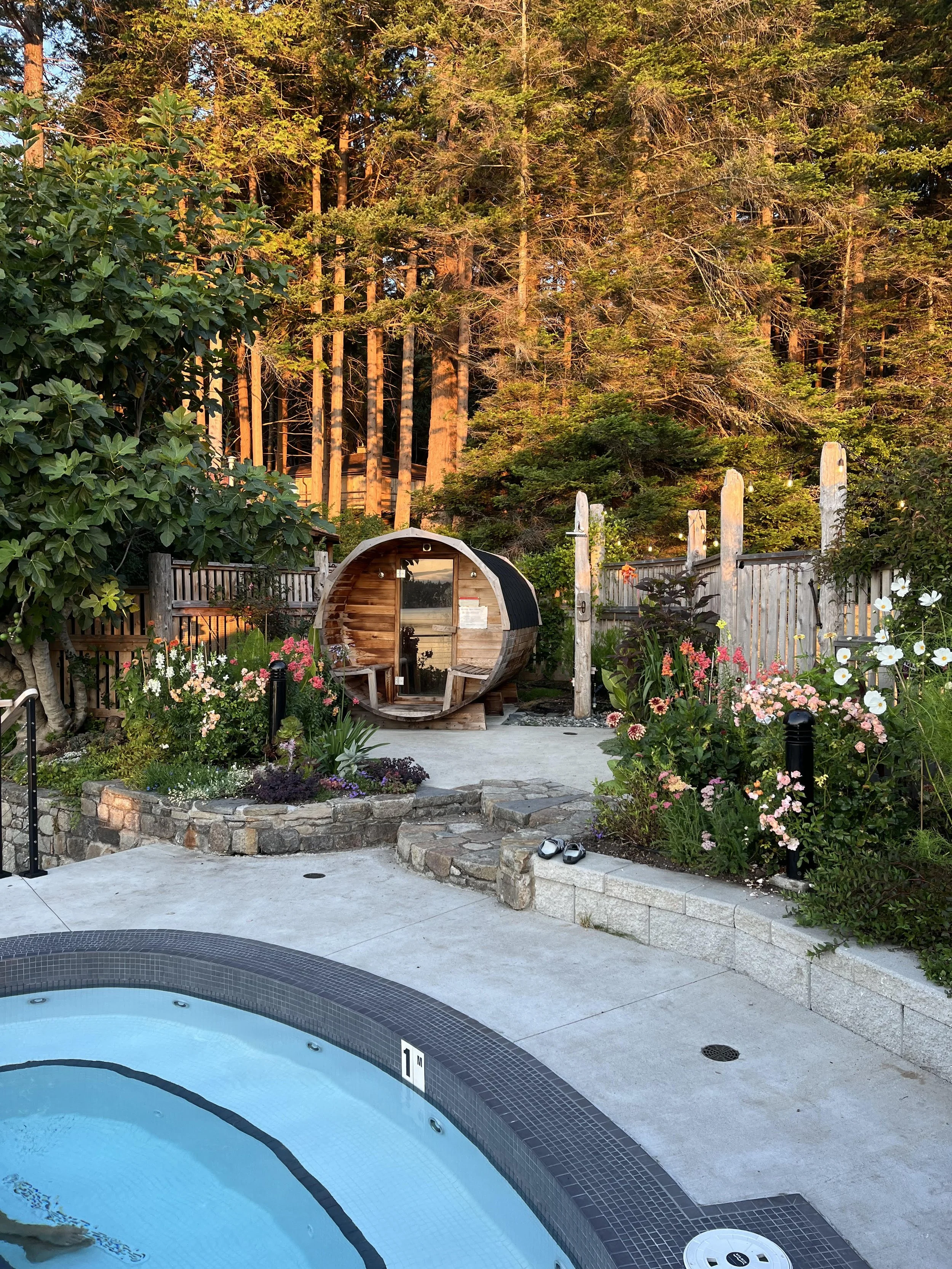 Hollyhock Sauna Sunrise.jpg