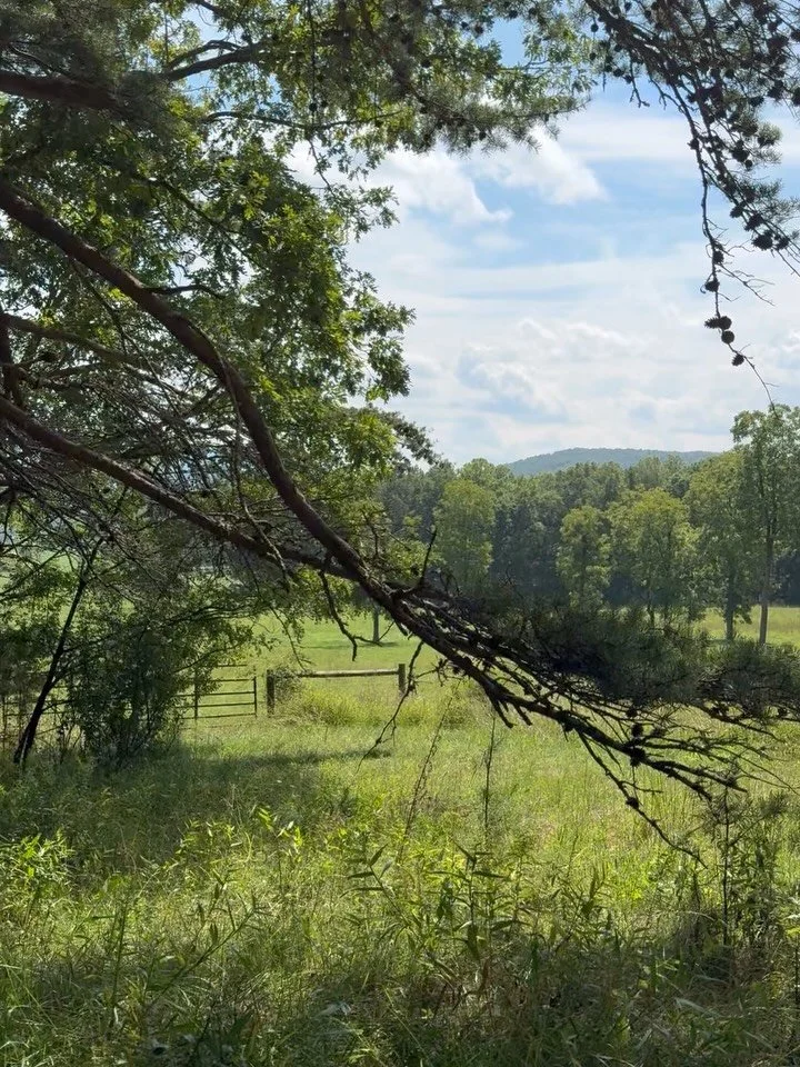 Oh Virginia how I love thee! Sound on for all. 
Tonight I&rsquo;ll be at the Insight Community of Charlottesville. Tomorrow night the Insight Community of Washington DC. Come join me VA friends! 
Deets on event page of my website. 
Link in bio. 
.
.
