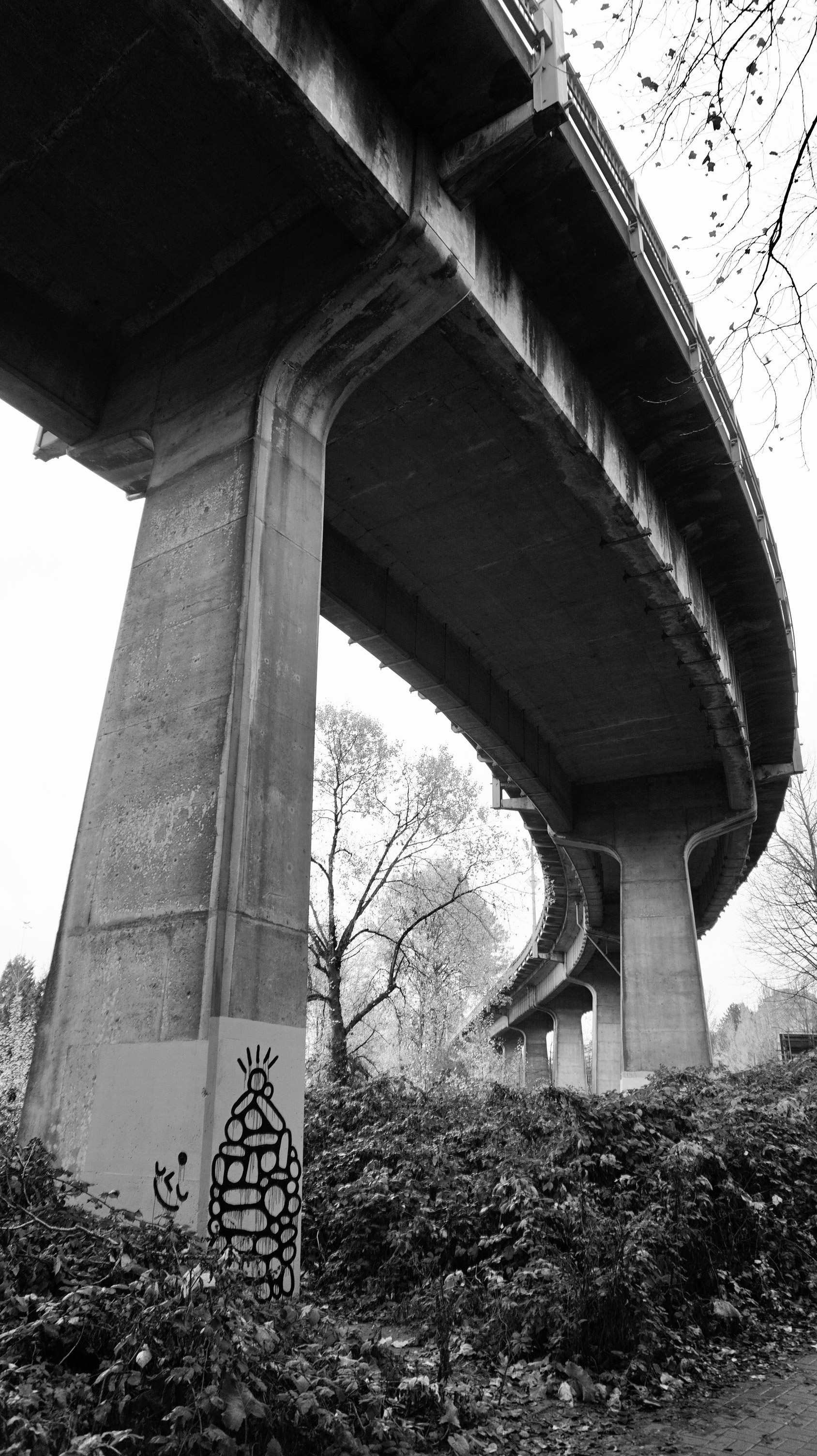 bridge.jpg