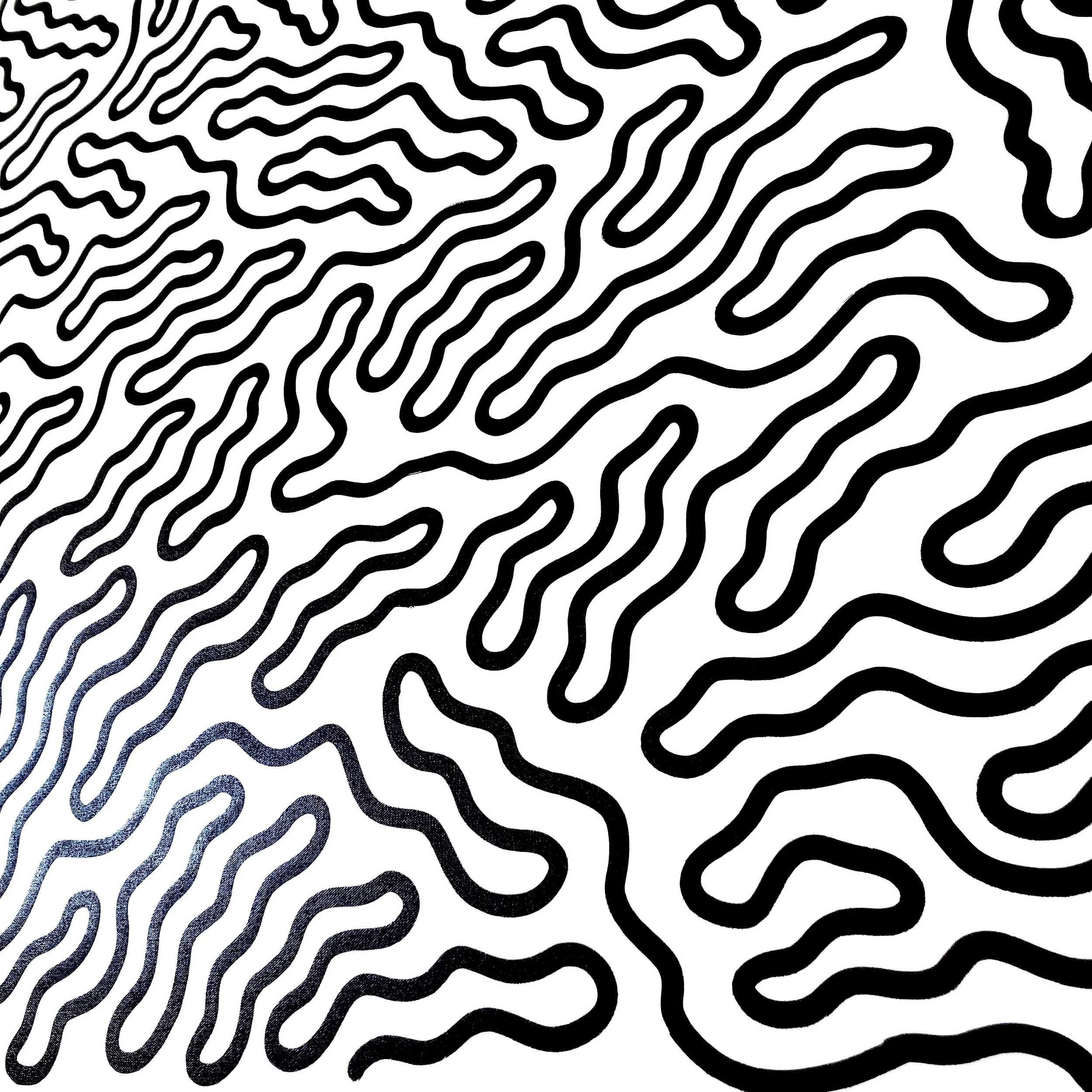 nicenothings® seaweed.jpeg