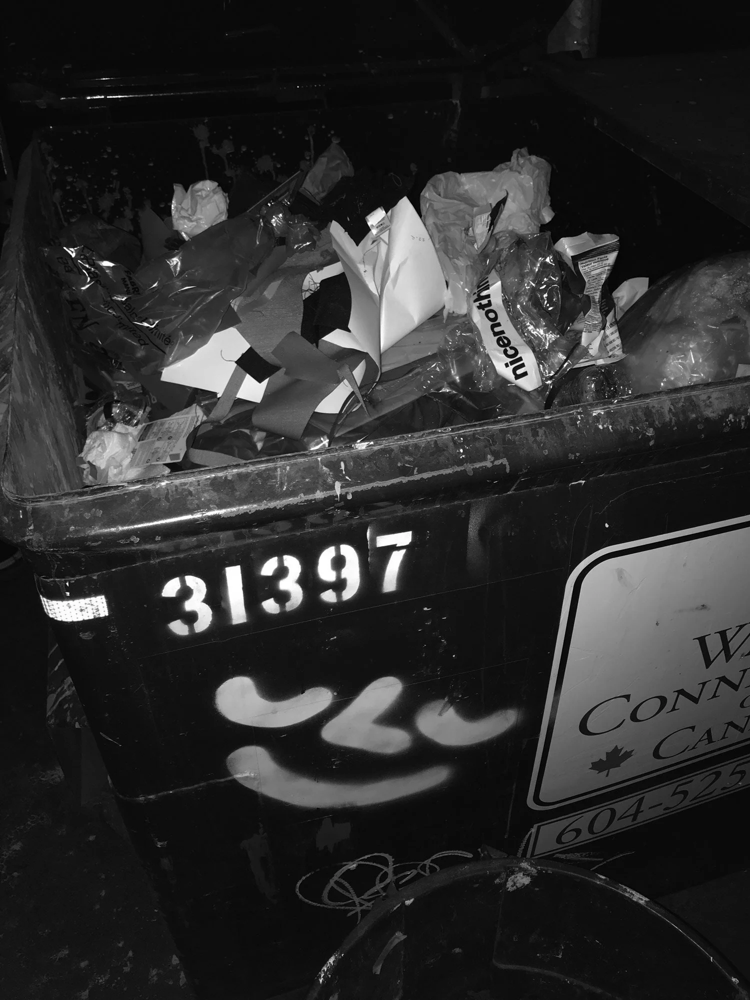 nicenothings®_©2021_trash.jpg