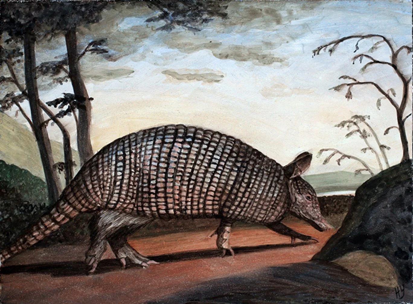 Armadillo
