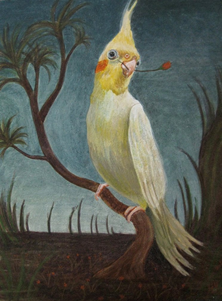 Cockatiel