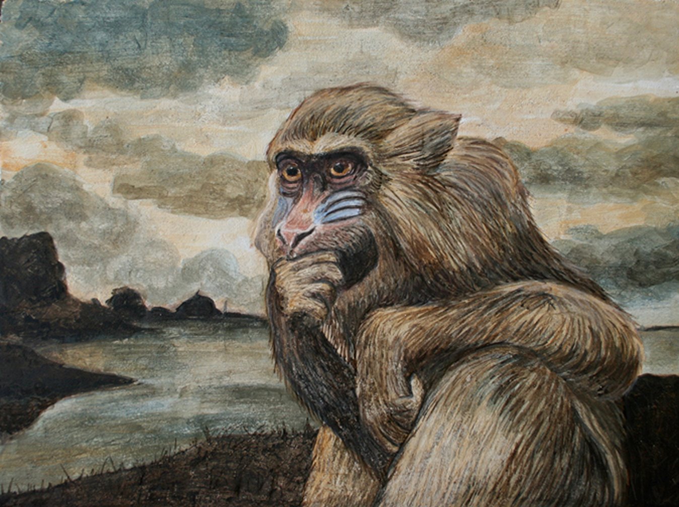 Pondering Baboon