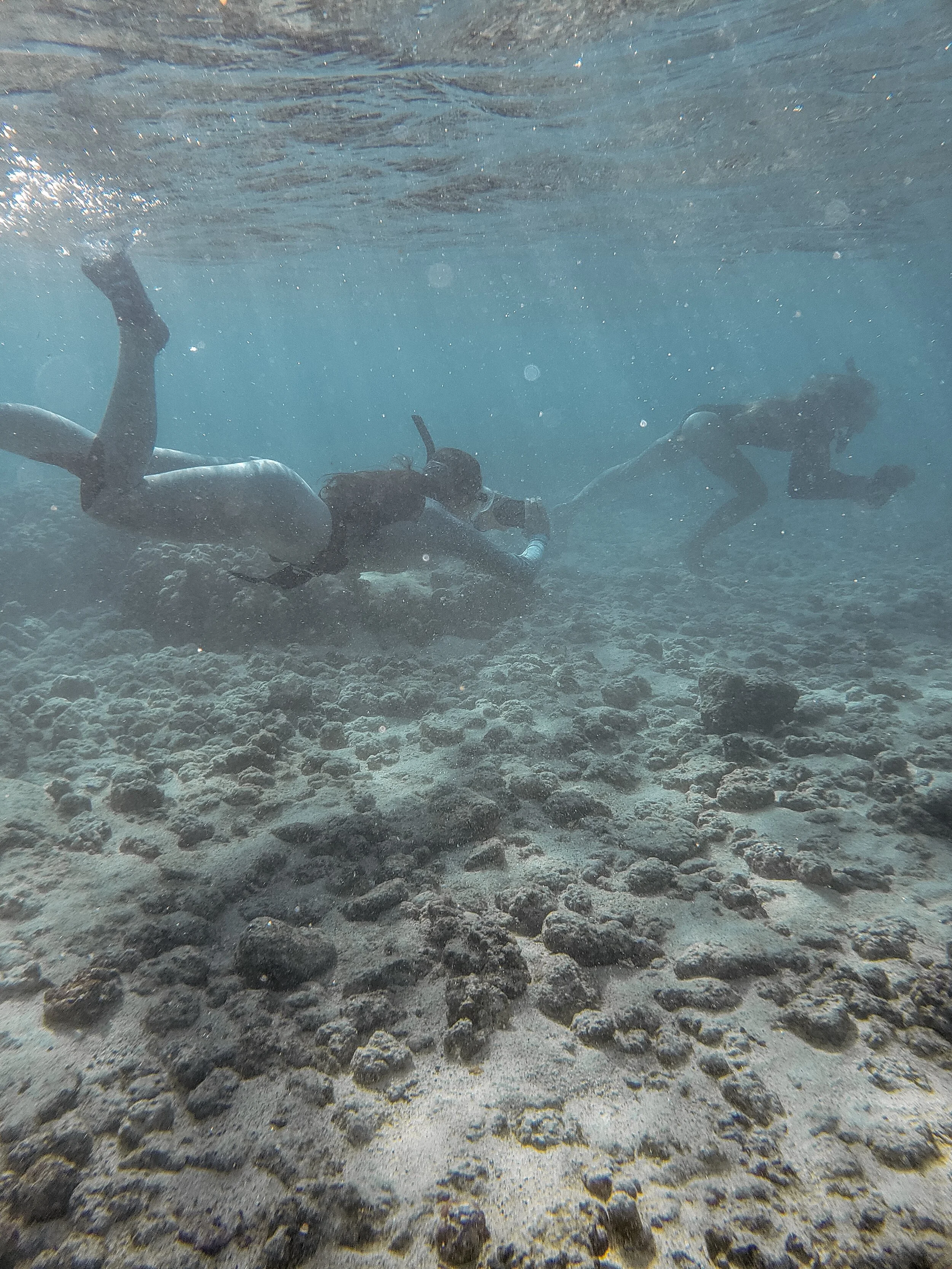 20190124_160907_0_ 2.JPG