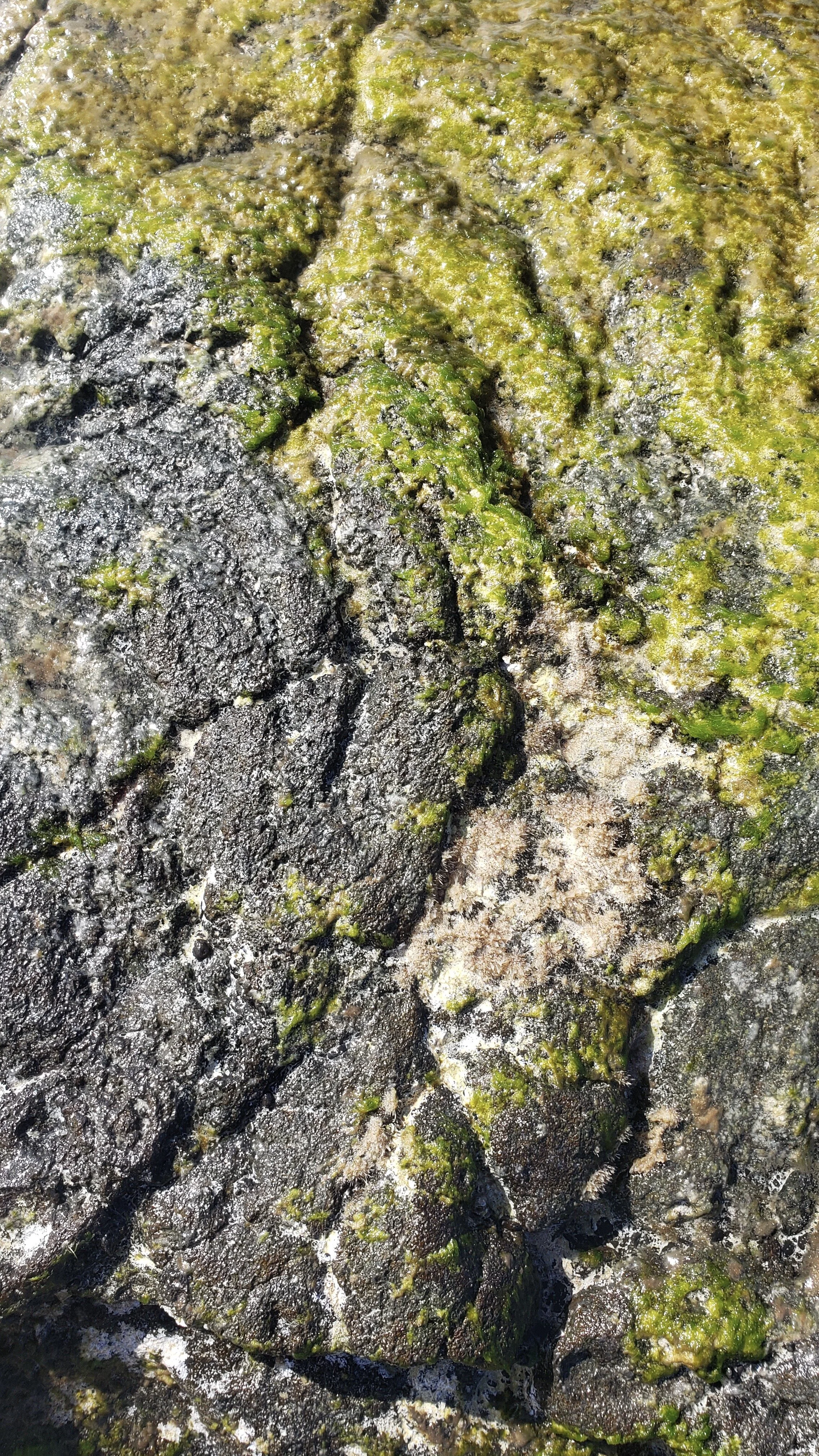 20190122_143952 2.JPG