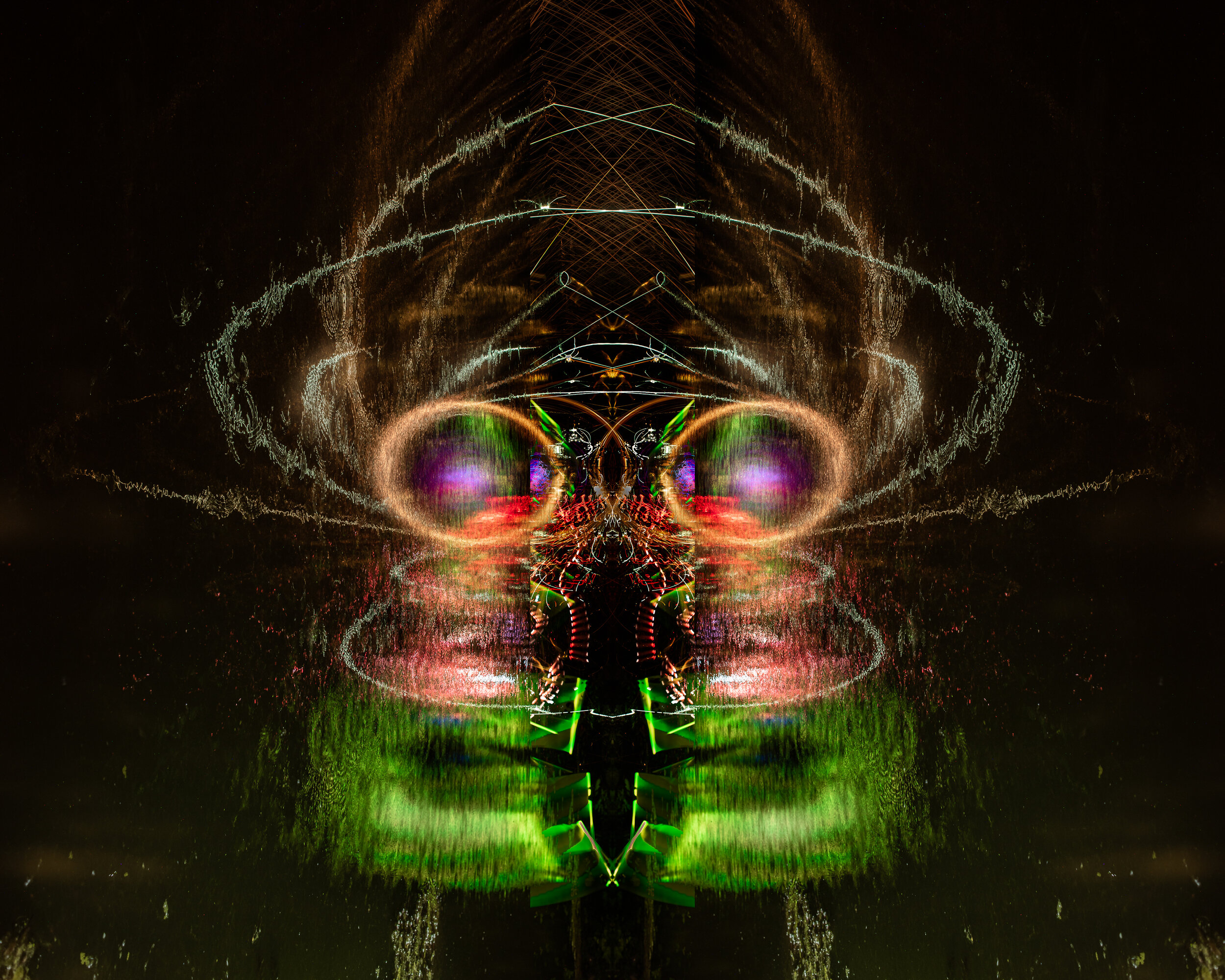Spider