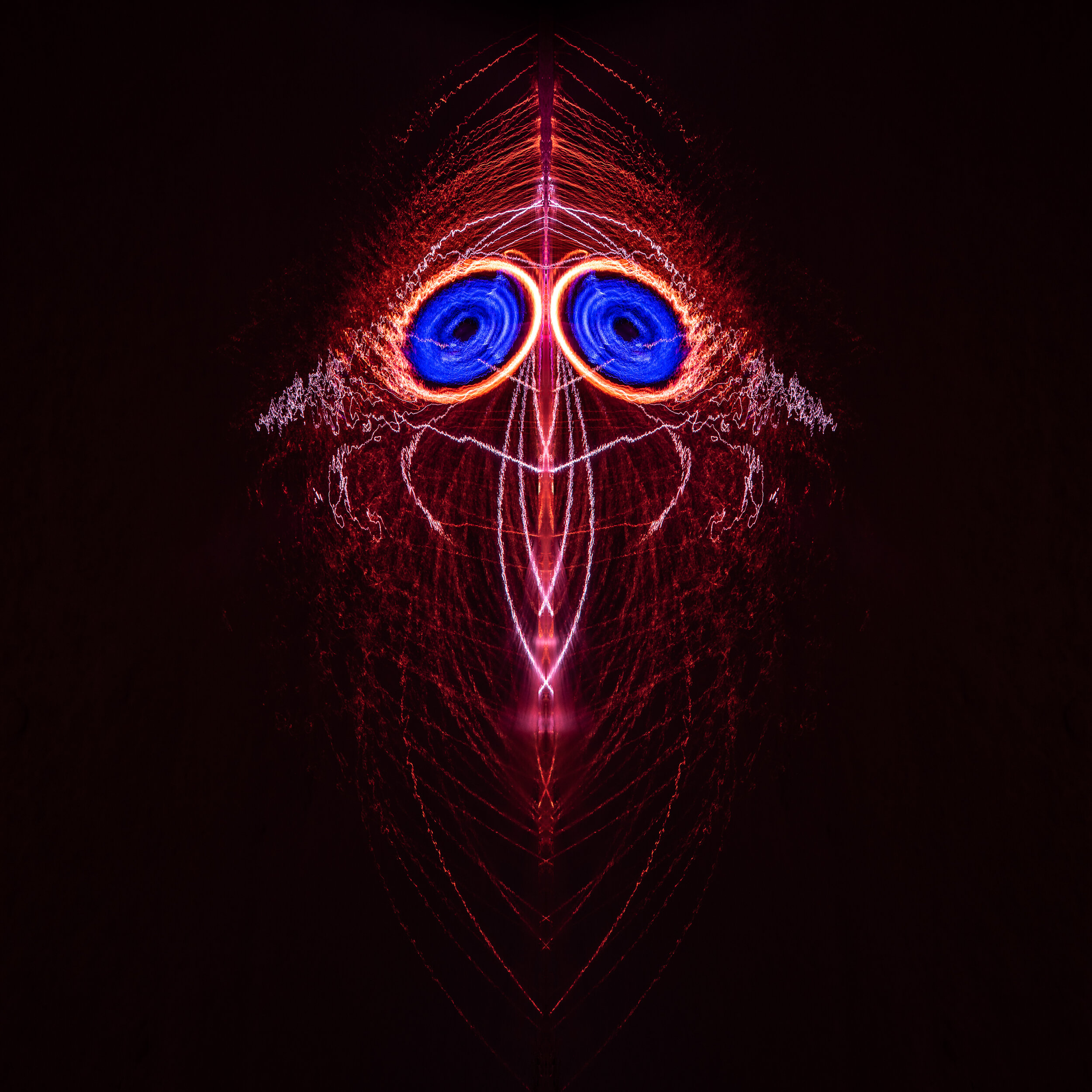 Squid