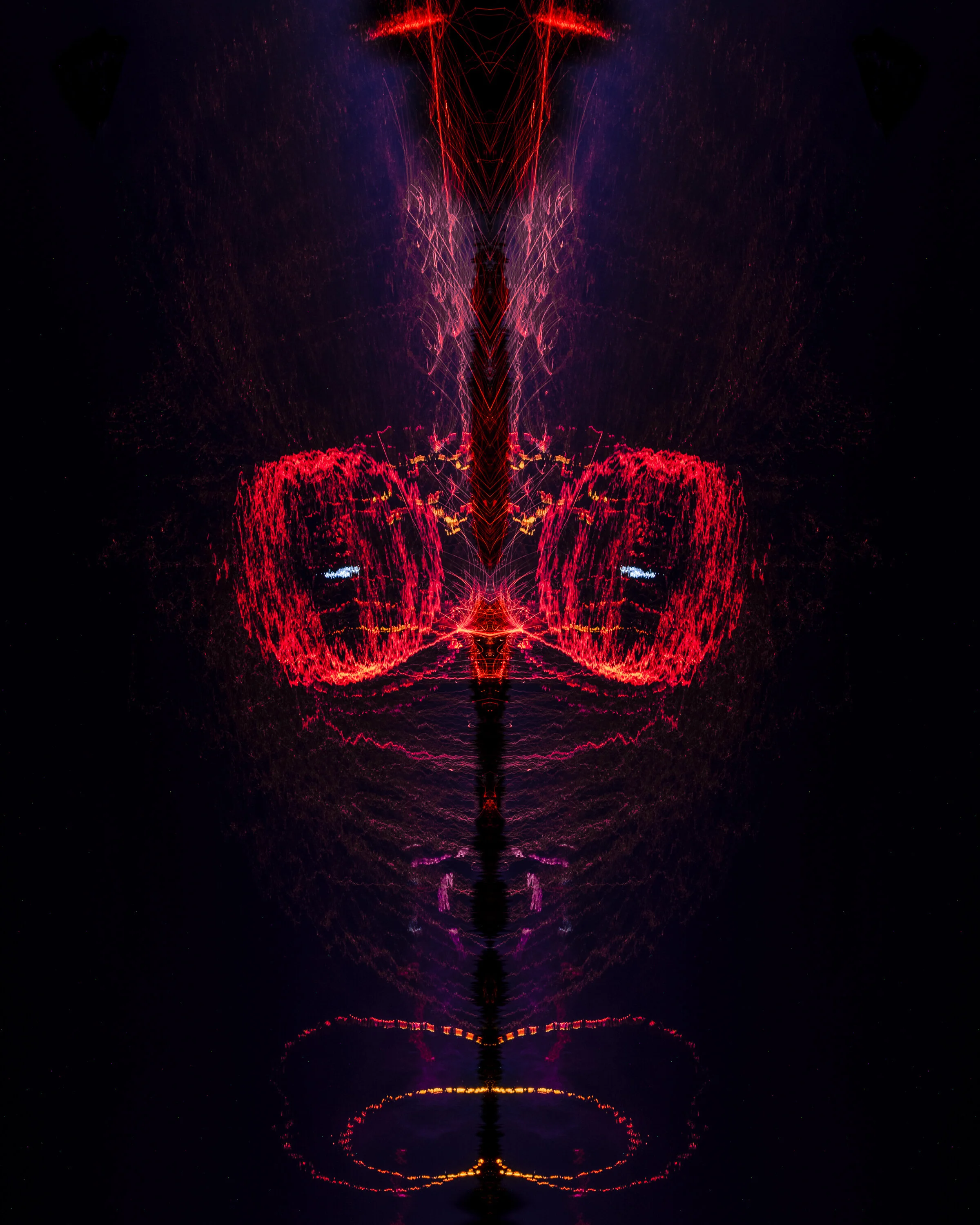 The Bug