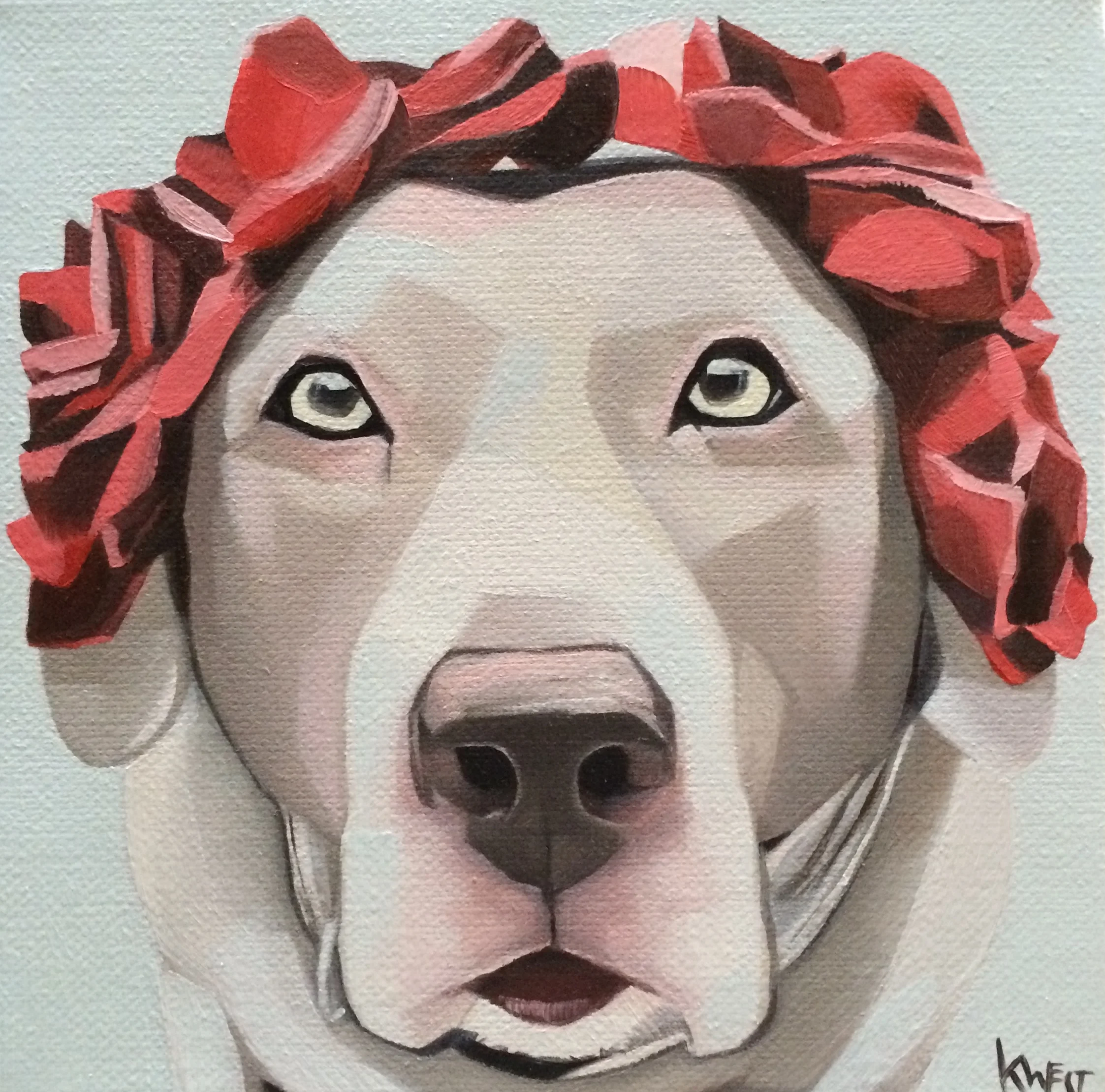 Brown Lab with roses