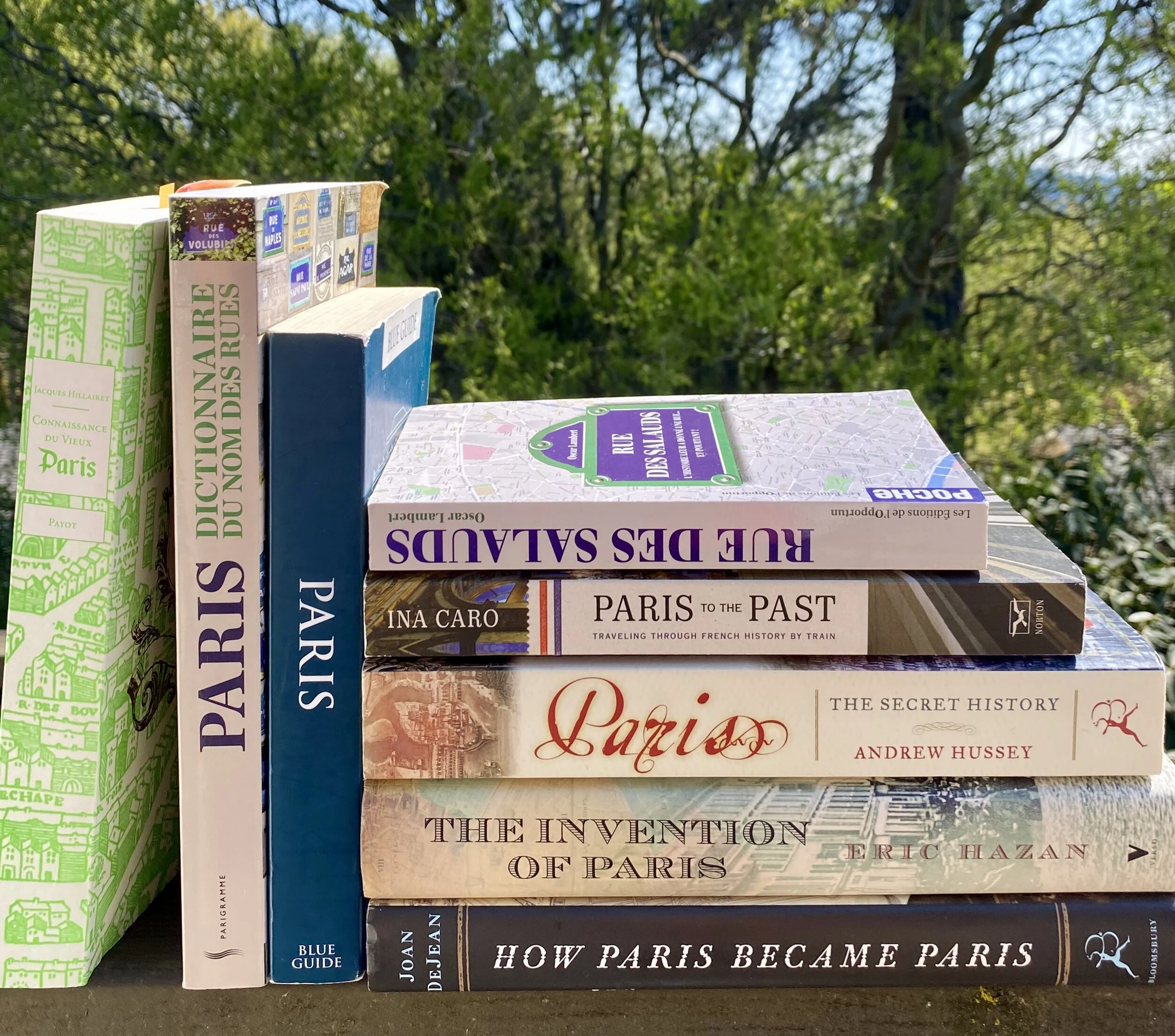 My Favorite Paris History and Research Books, part une —