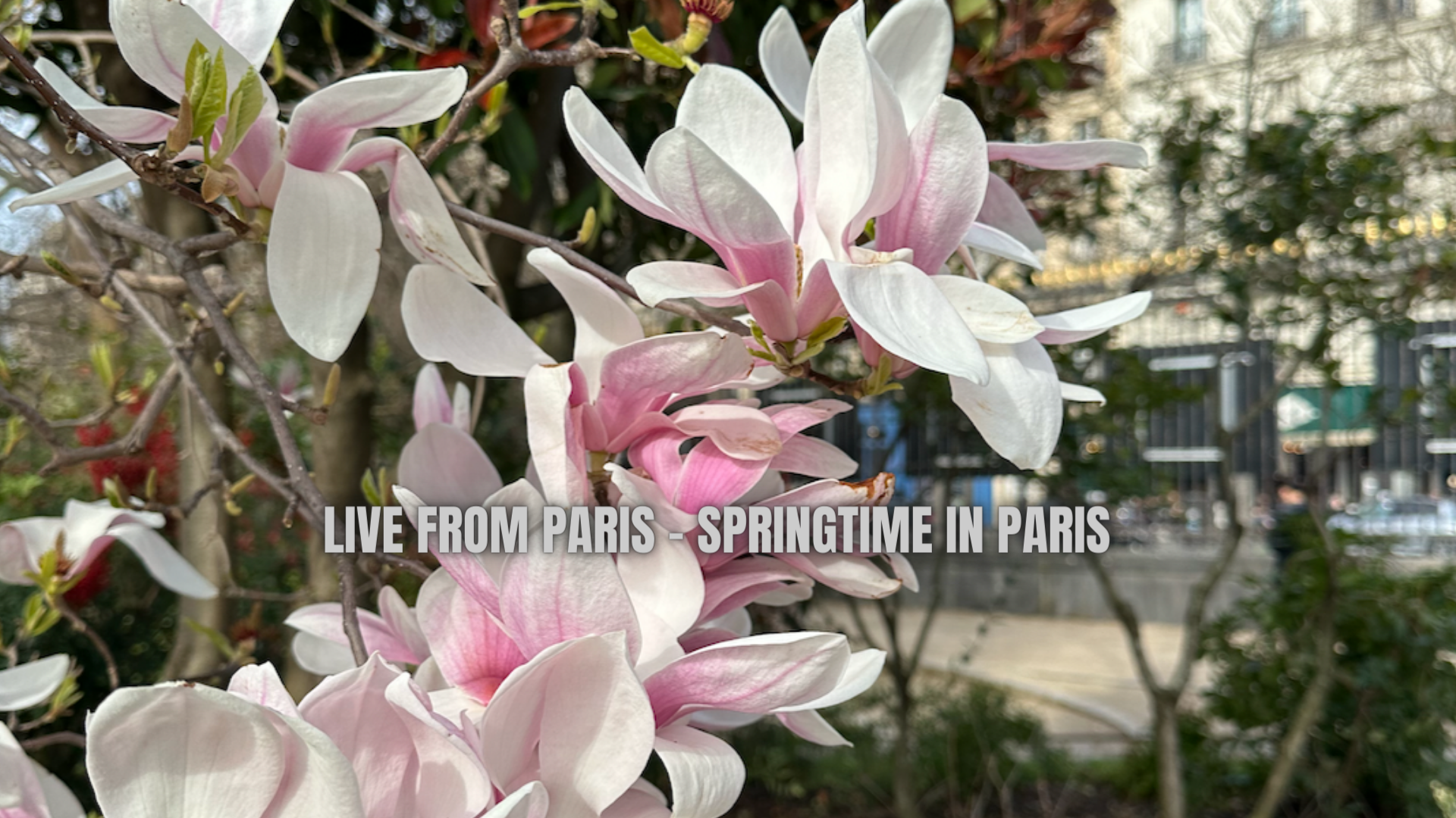 Live from Paris - Springtime in Paris 