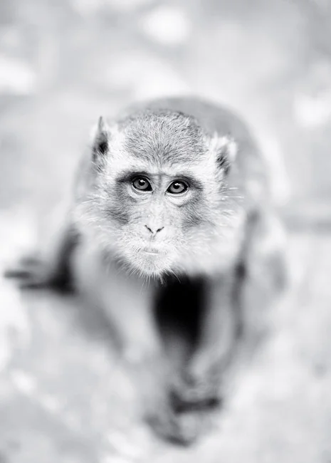_MG_2760_Edit.jpg