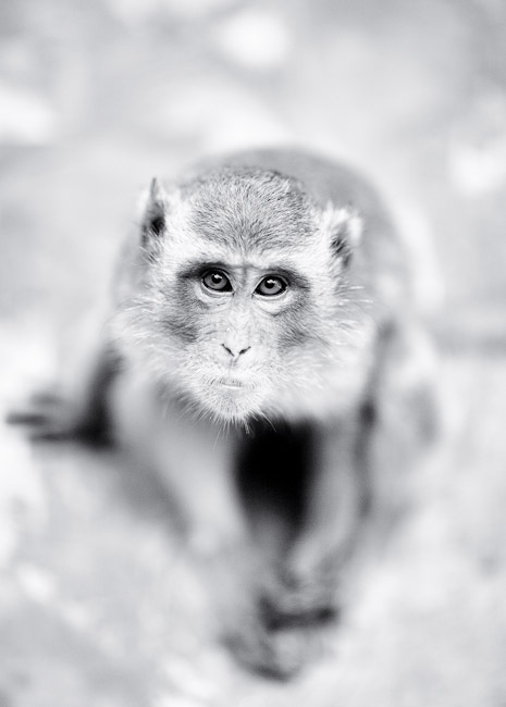 _MG_2760_Edit.jpg