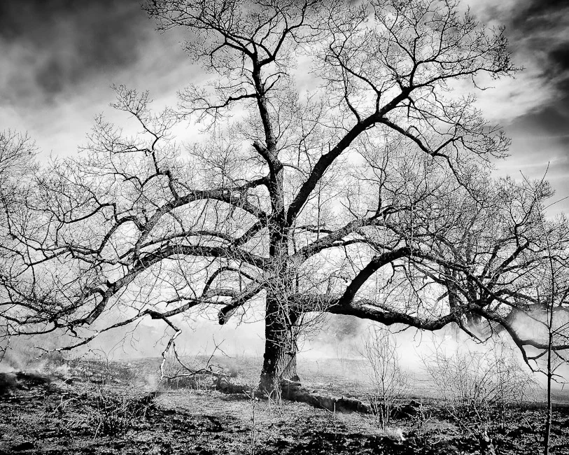 IMG_4745_new_import_2012_Edit_2_Edit_DONE.jpg