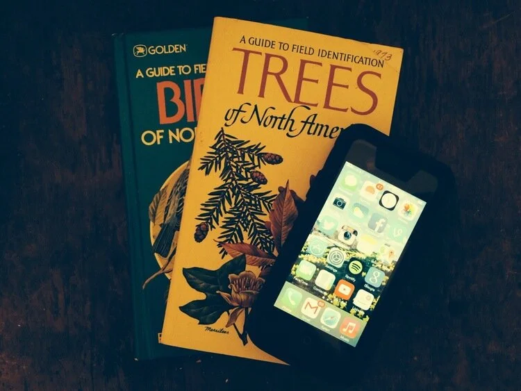 5 Free Field Guide Apps for Deciphering the Outdoors