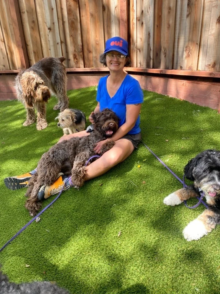 About Pacific Paw, Santa Cruz Dog Walking, Doggy Daycare, Dog Boarding