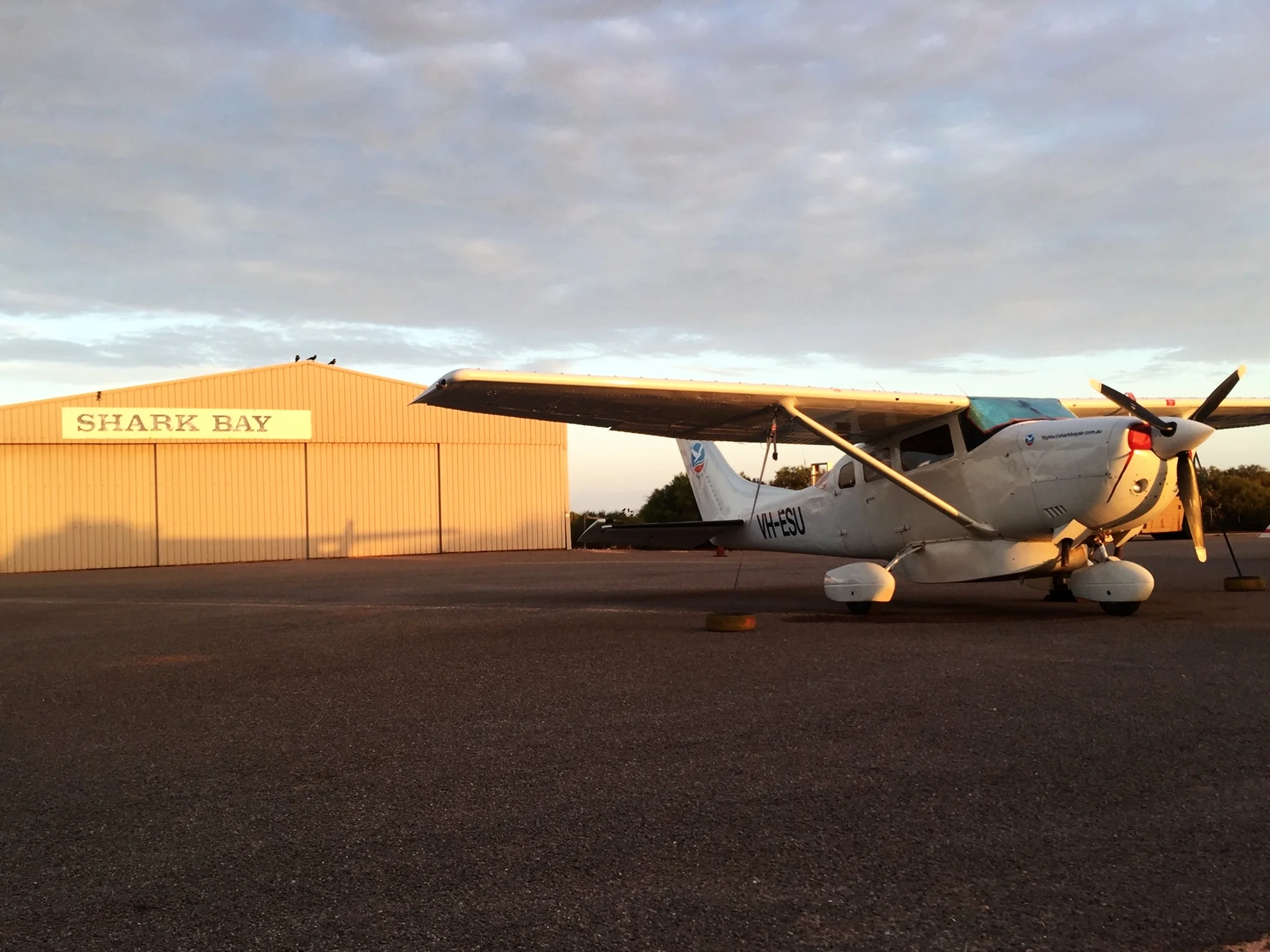 Shark Bay aviation tour