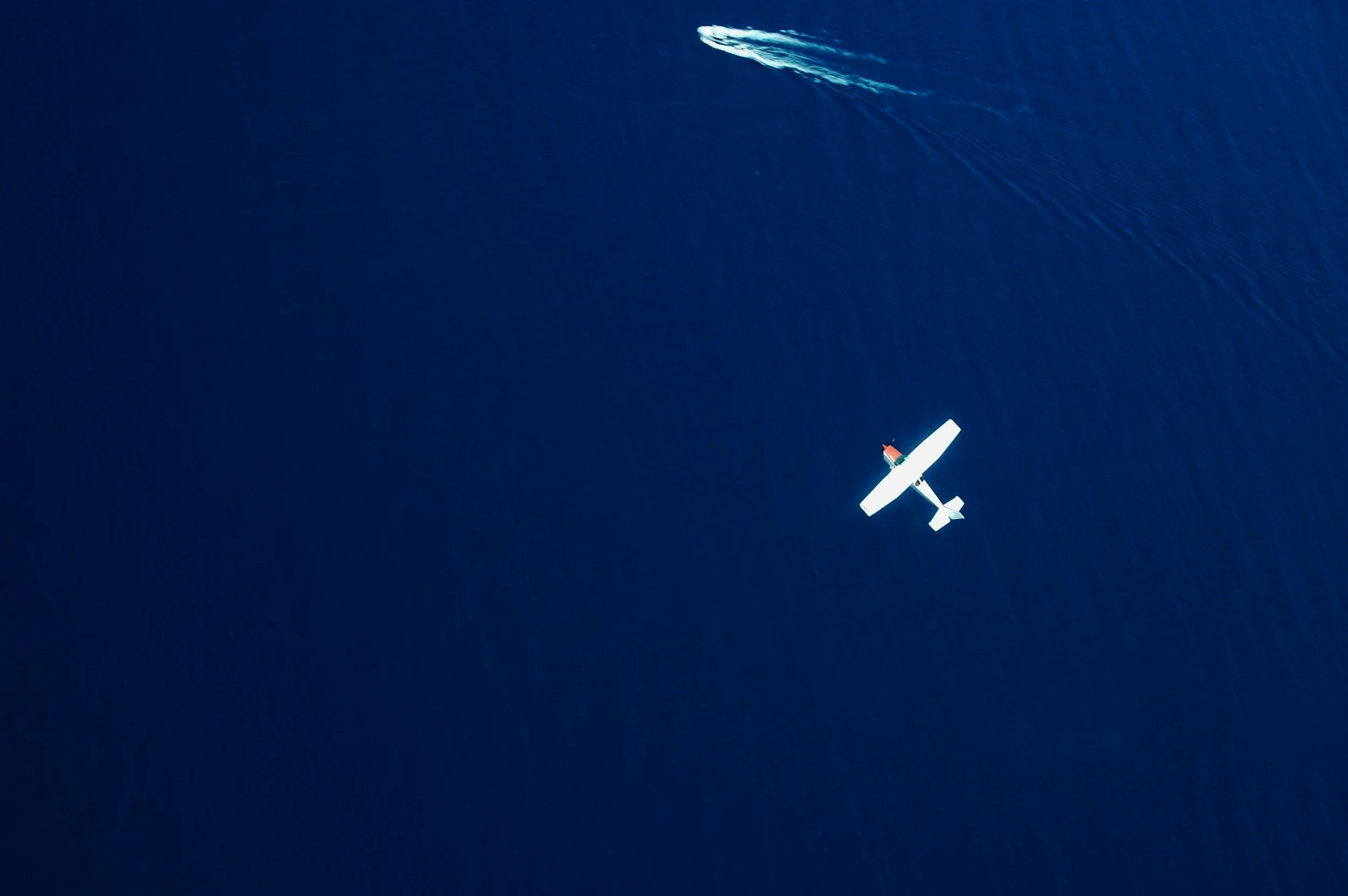 Shark Bay Aviation Survey