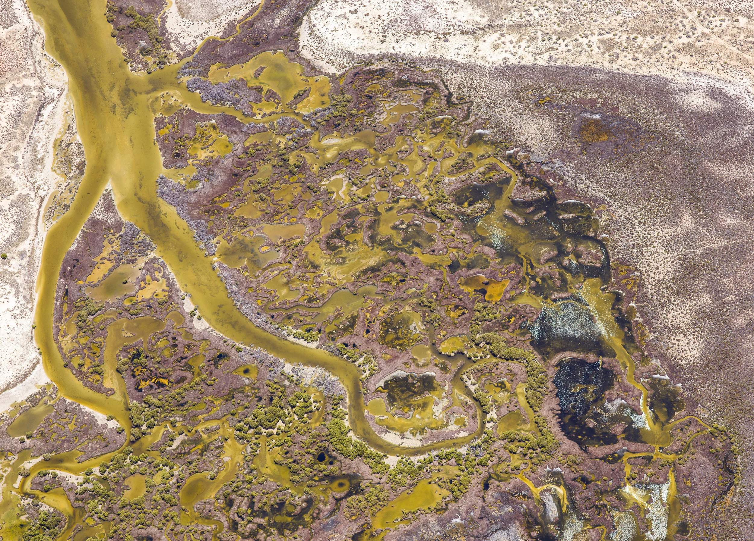 B0000291.jpg