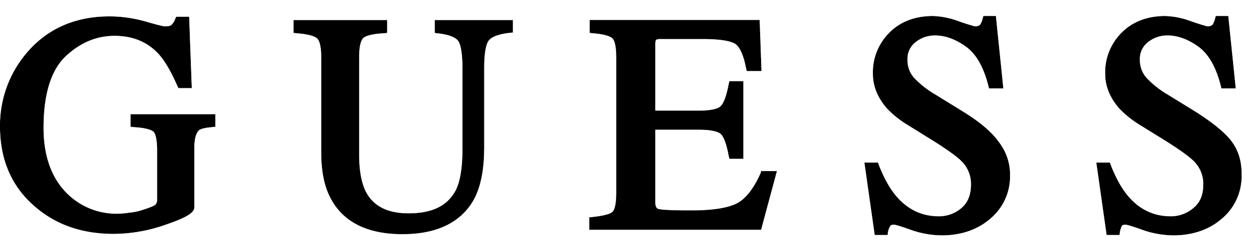 Viviane Rodrigues On Site Calligraphy NYC - Guess.png