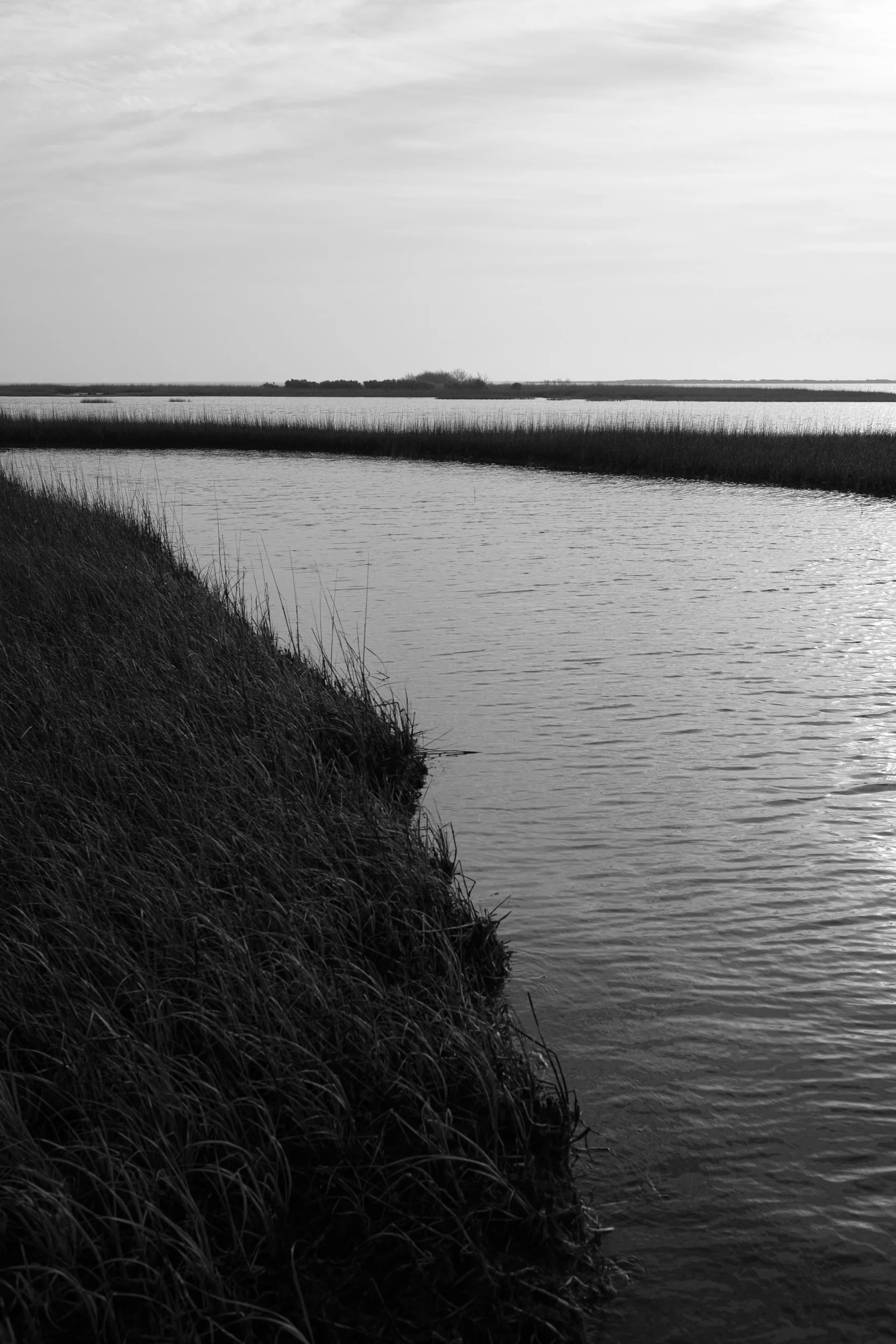 CAD_Oh_Louisiana-28.jpg