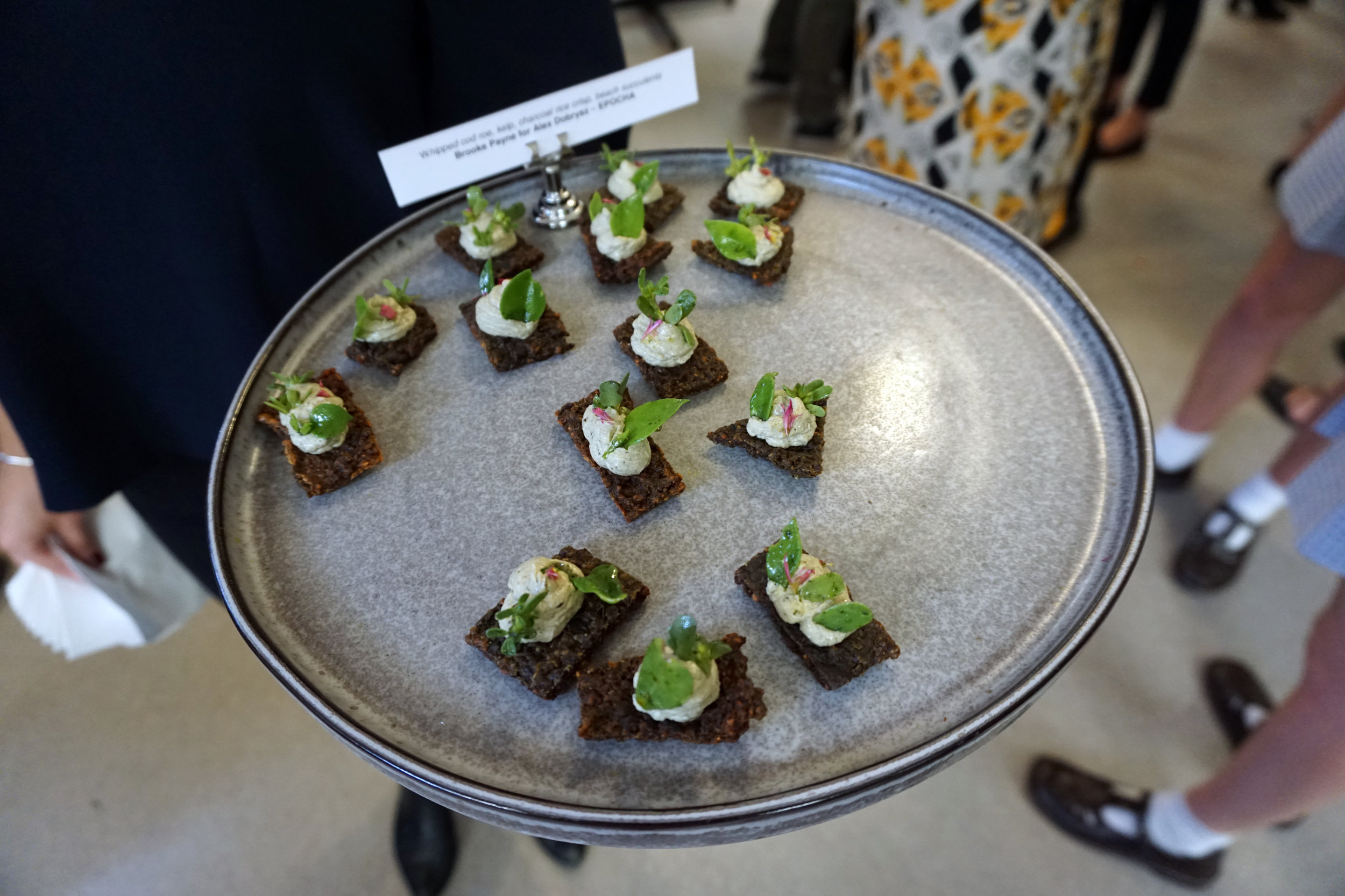 Whipped Cod Roe, Kelp, Charcoal Rice Crisp, Beach Succulents - Chef Brooke Payne for Alex Dobrysz (Epocha)