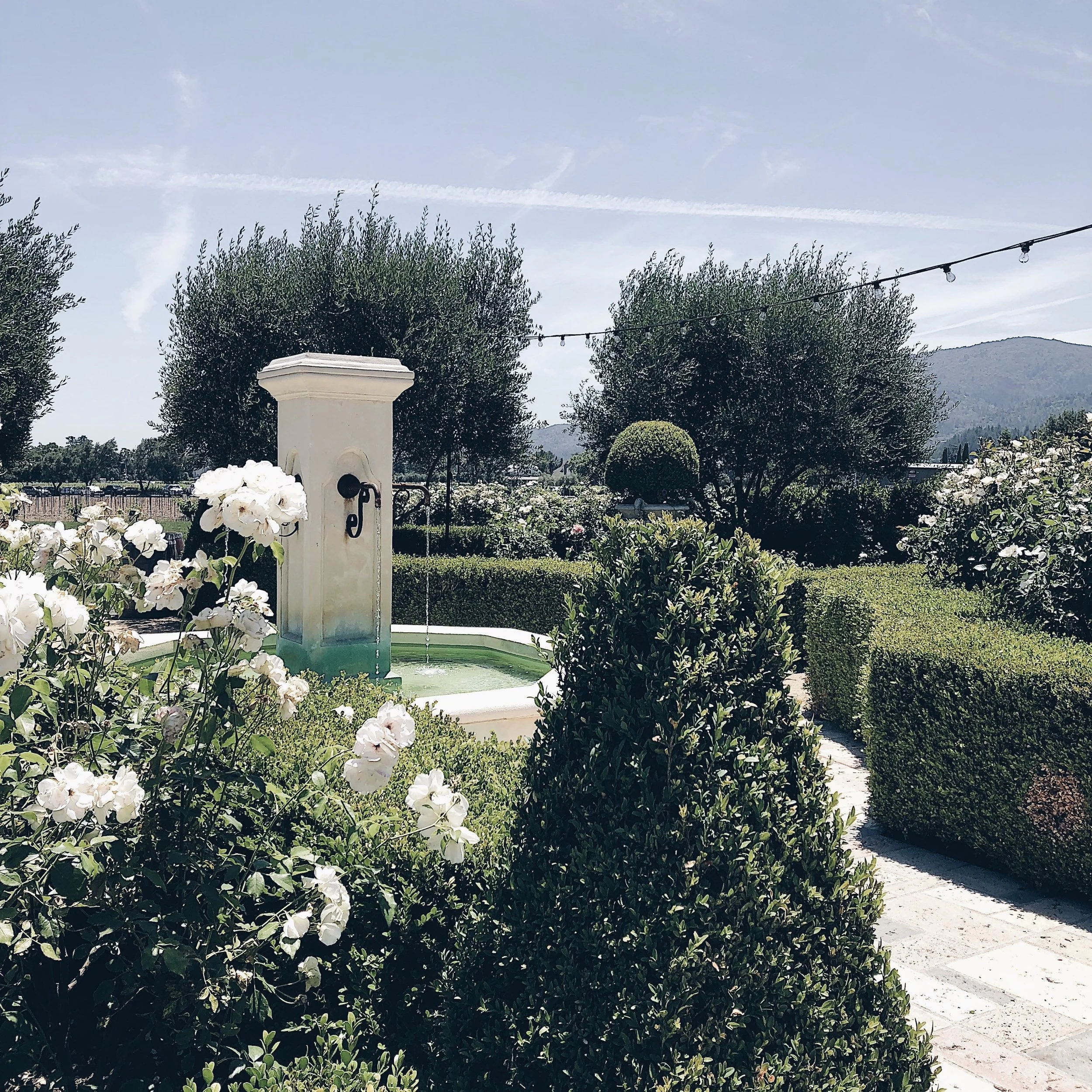 V.Sattui Winery