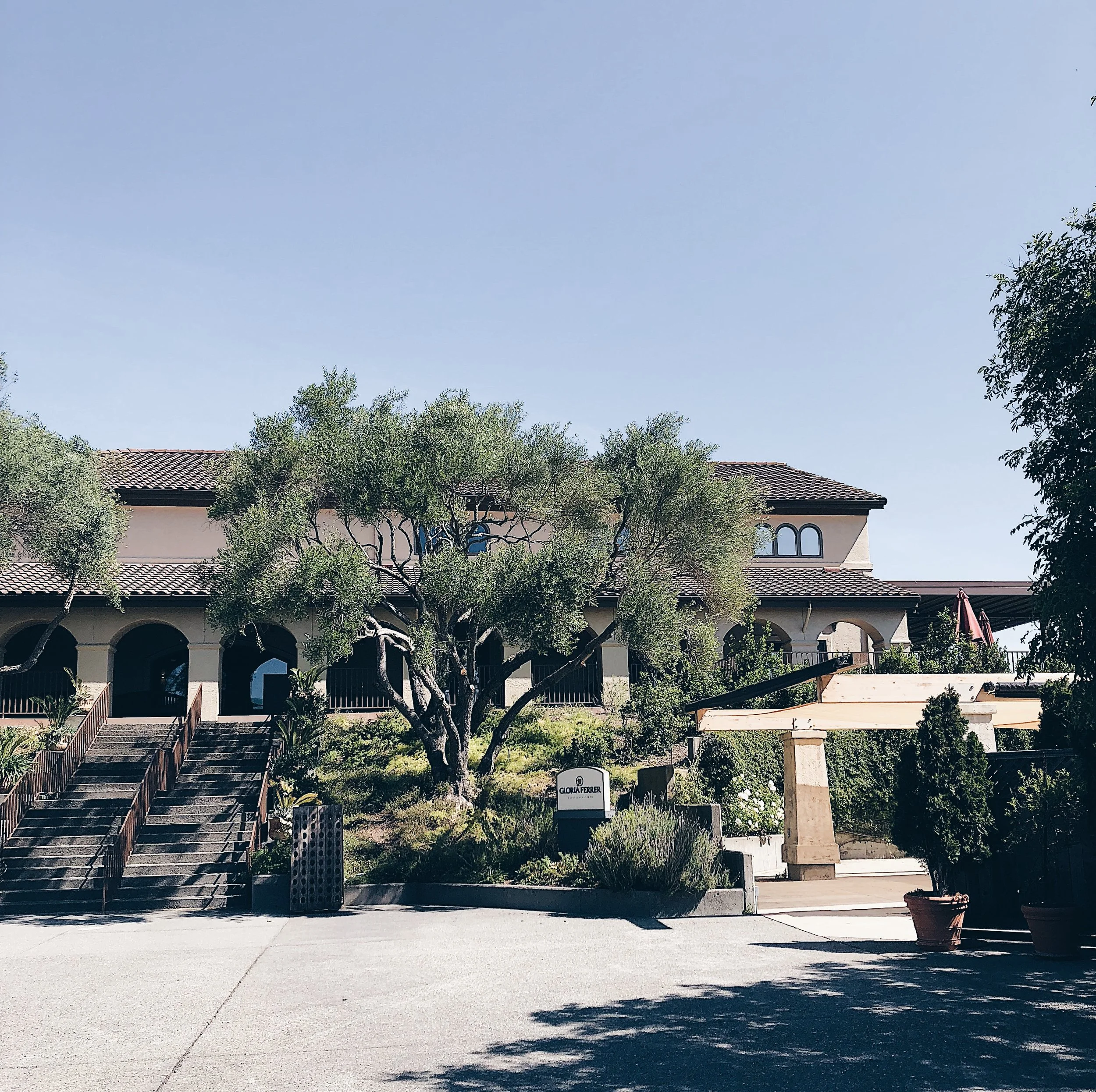 Gloria Ferrer Caves and Vineyards