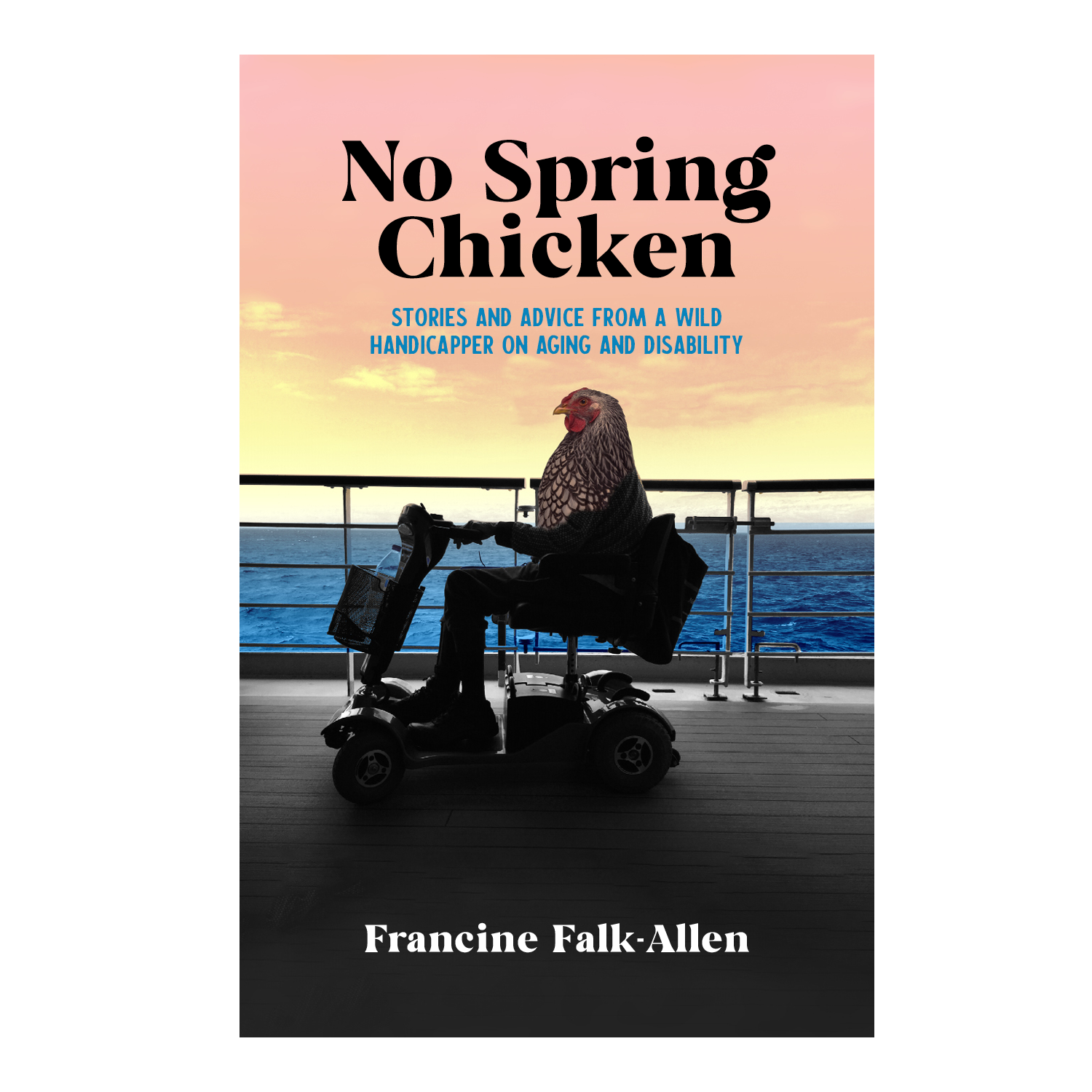 Alternate Design Concept 1