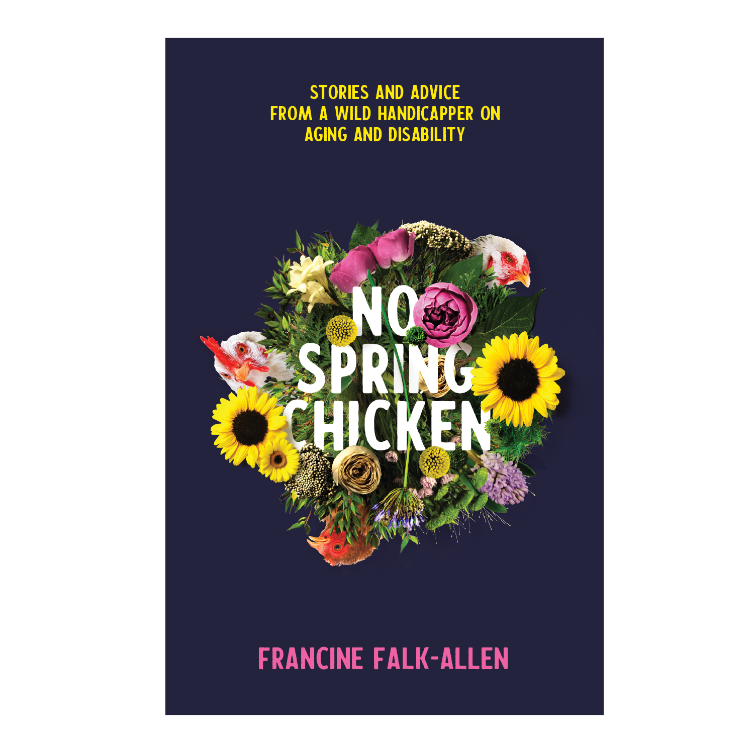 Alternate Design Concept 2