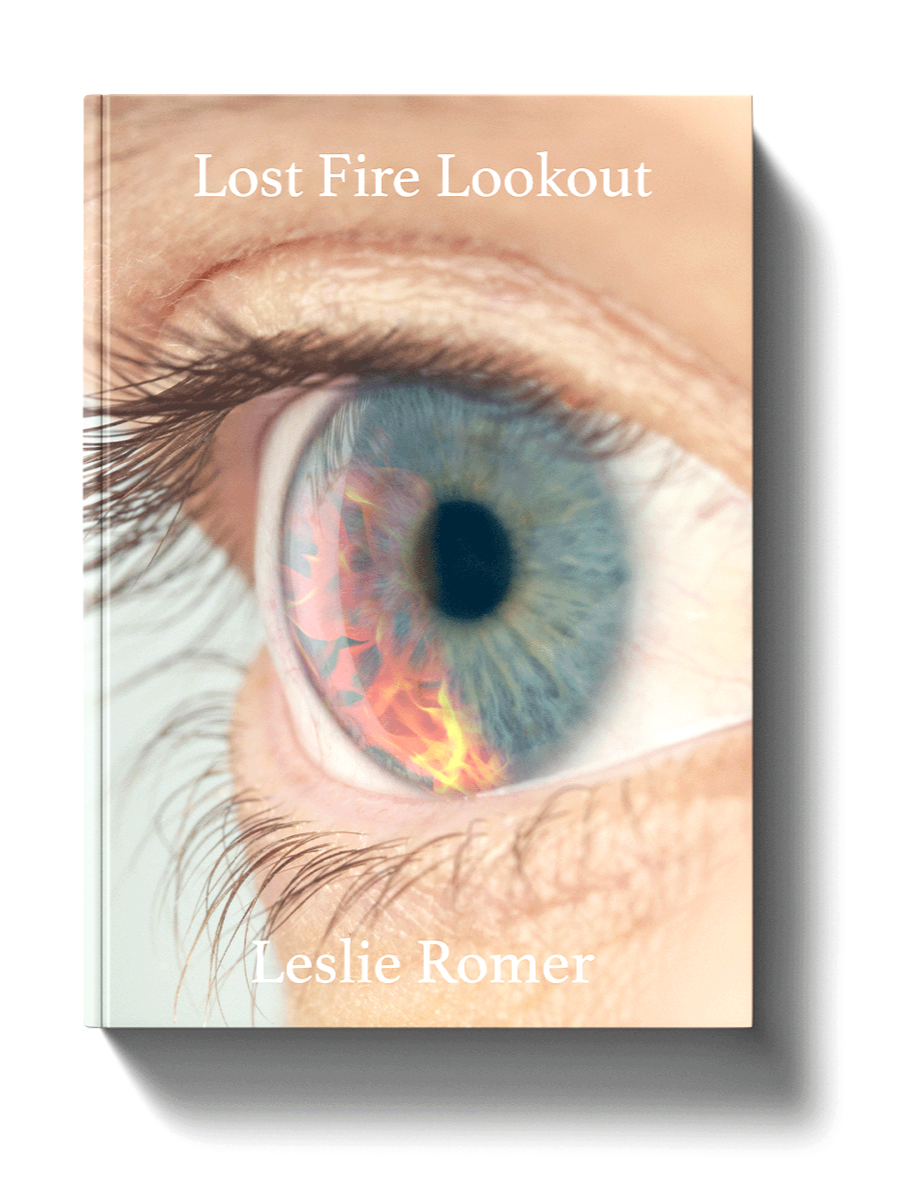 06_Hard%2BCover%2BBook%2BMock-up_Lost_Fire_white.png