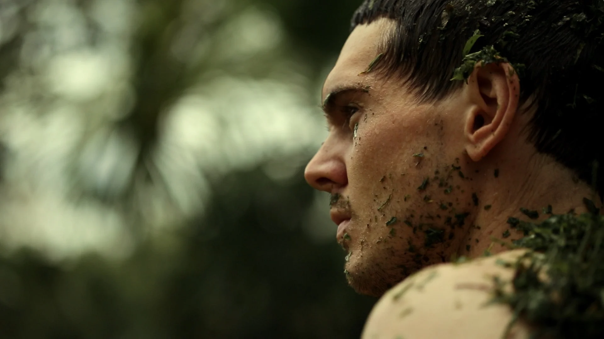 banner + TLS copy.jpg