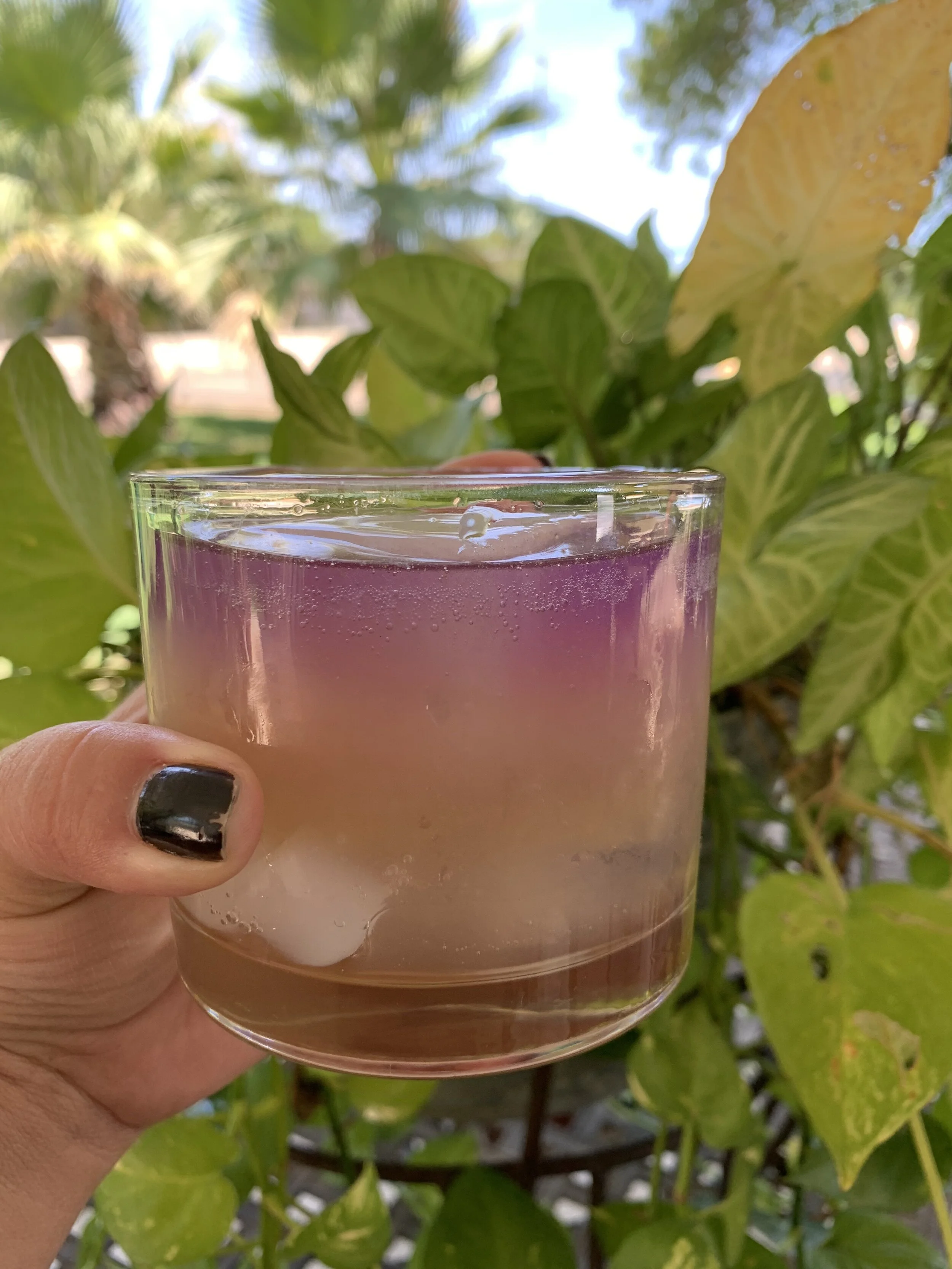 Cocktails the Gin Antilullaby — ellaequeue