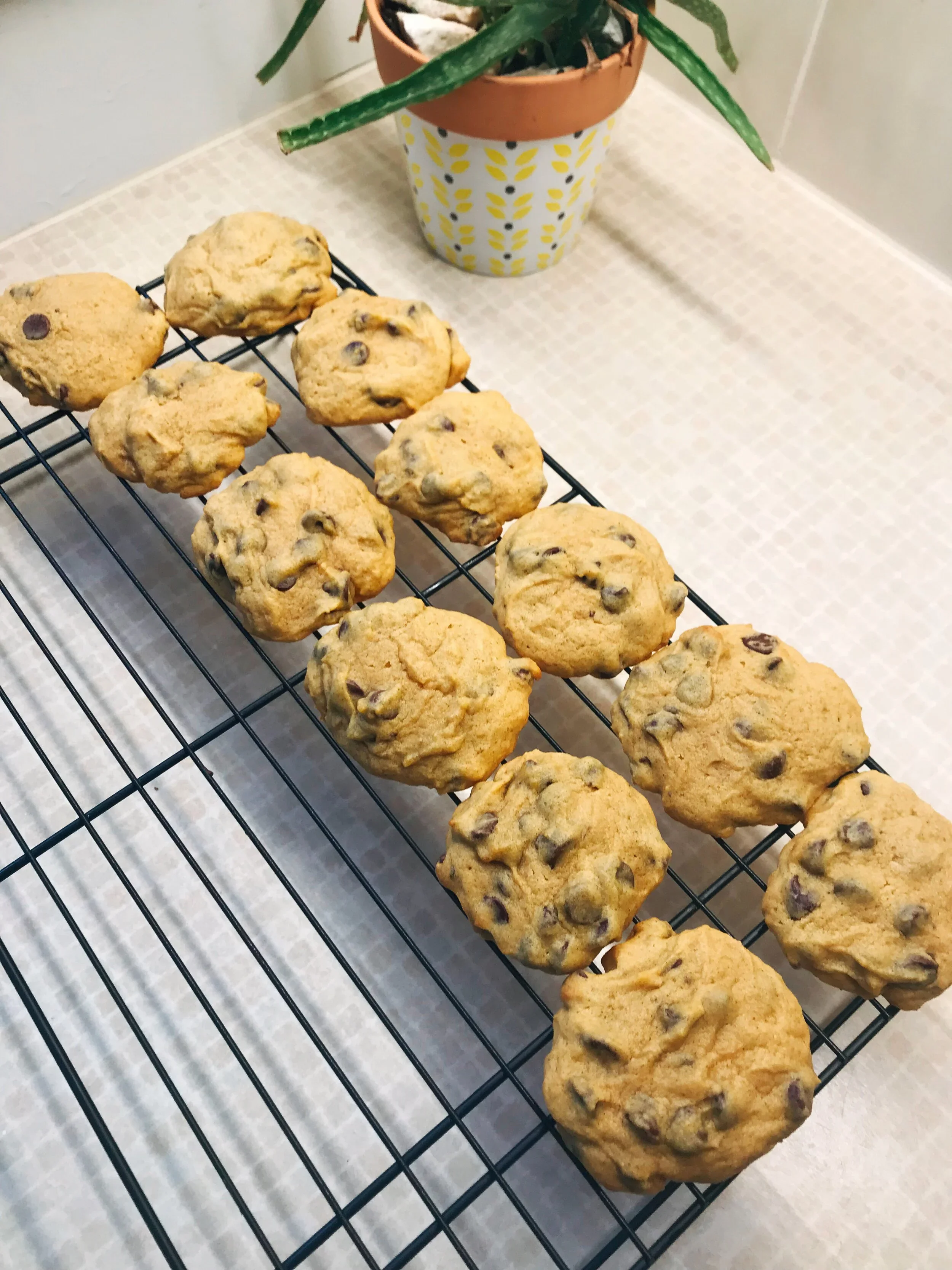 The BEST Pumpkin Cookies