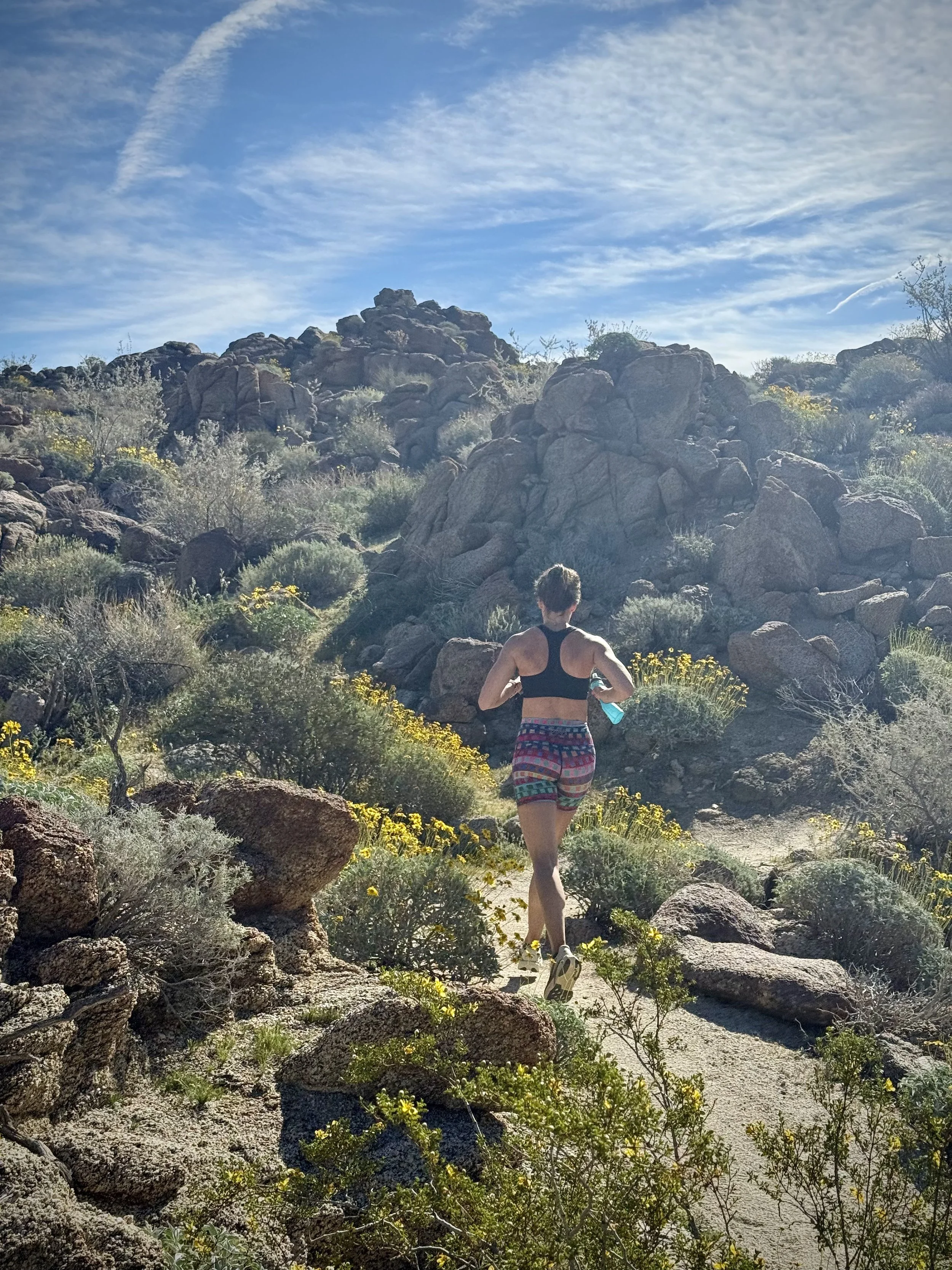 Vacation Running: To Run or Not to Run?